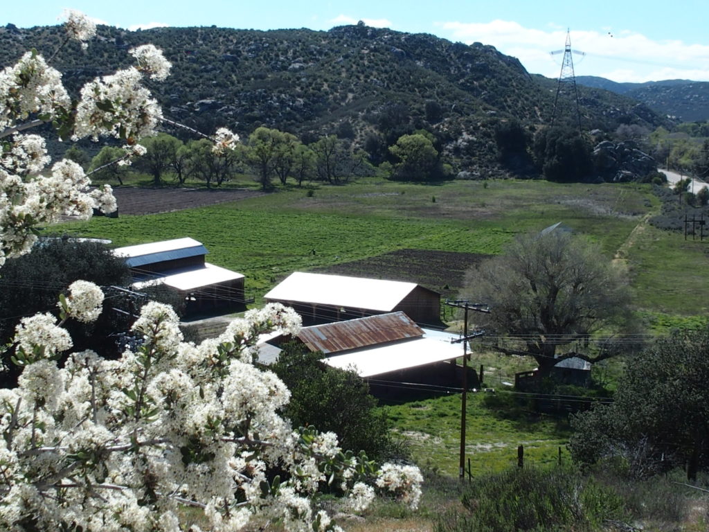 Farmland for Sale