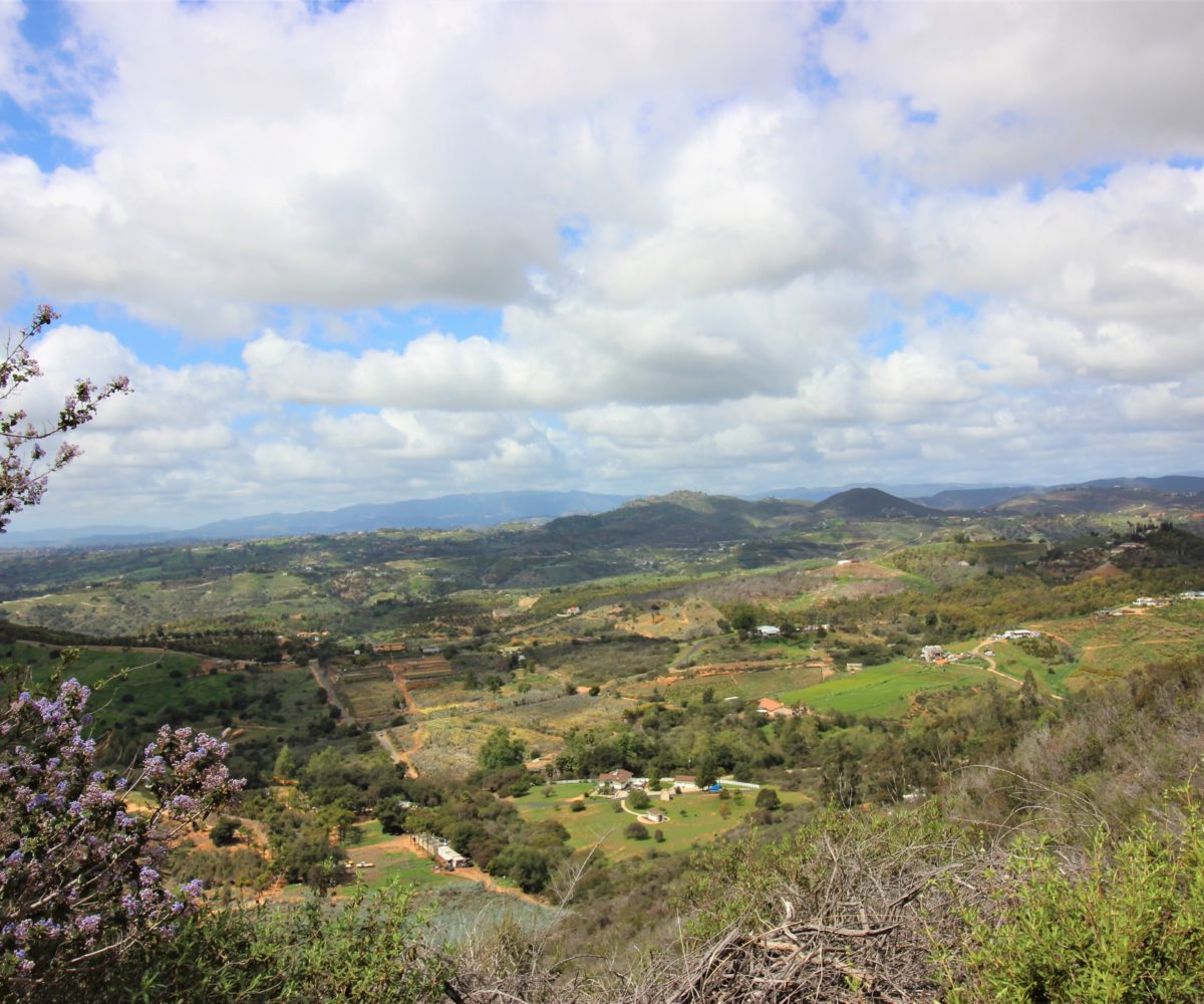Incredible Fallbrook Homesite