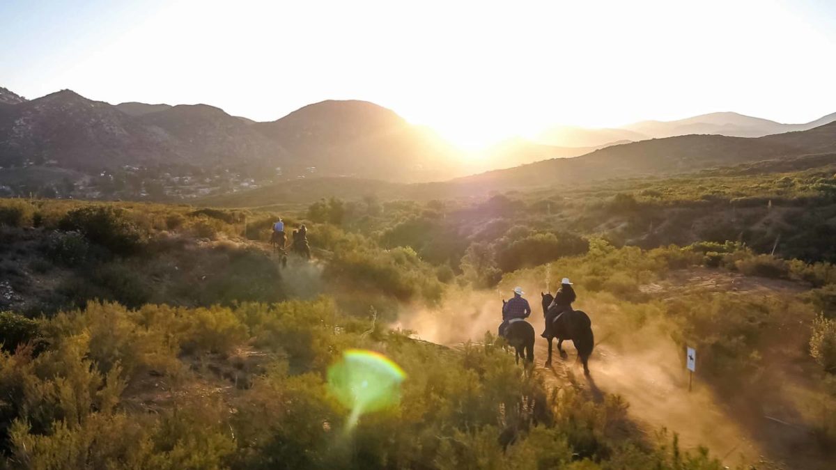 Horse Properties For Sale CA Red Hawk Realty Horse Ranches