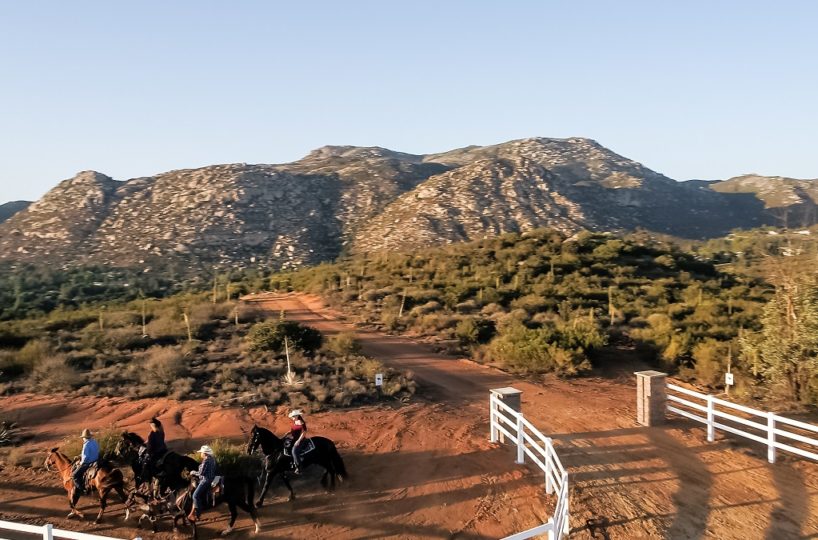 horse property for sale ca
