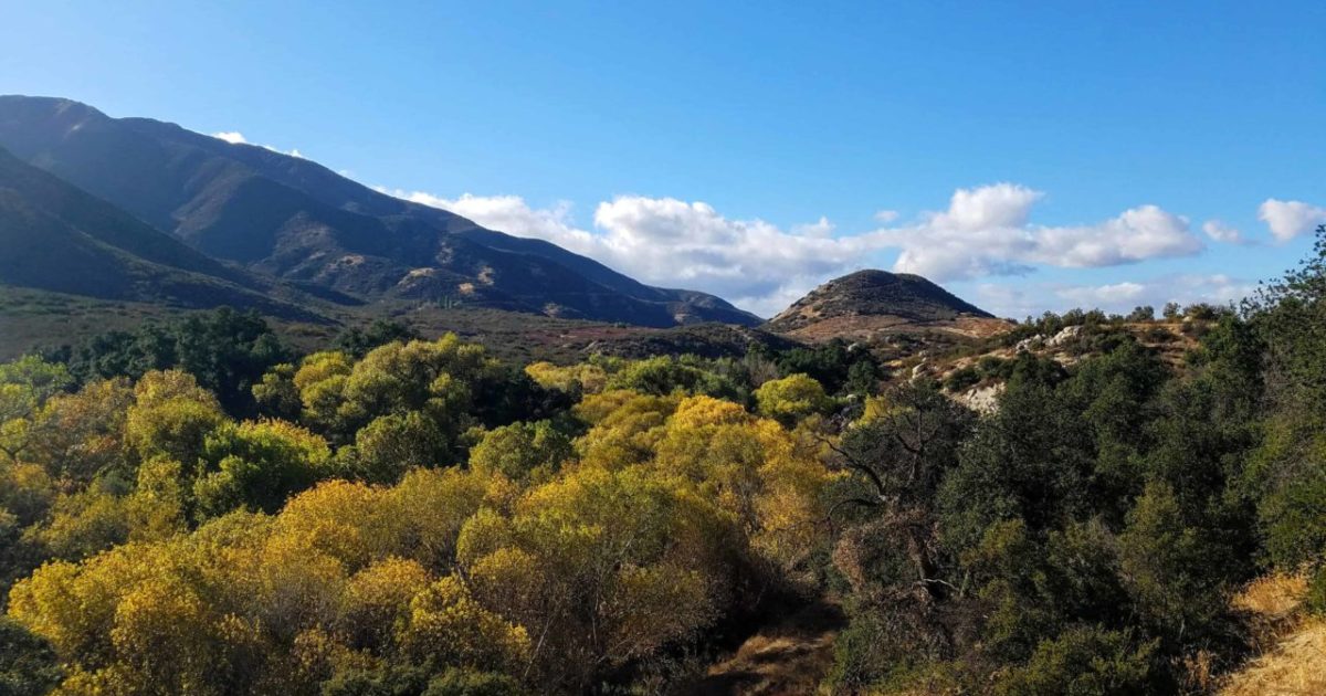 Warner Springs Real Estate Red Hawk Realty