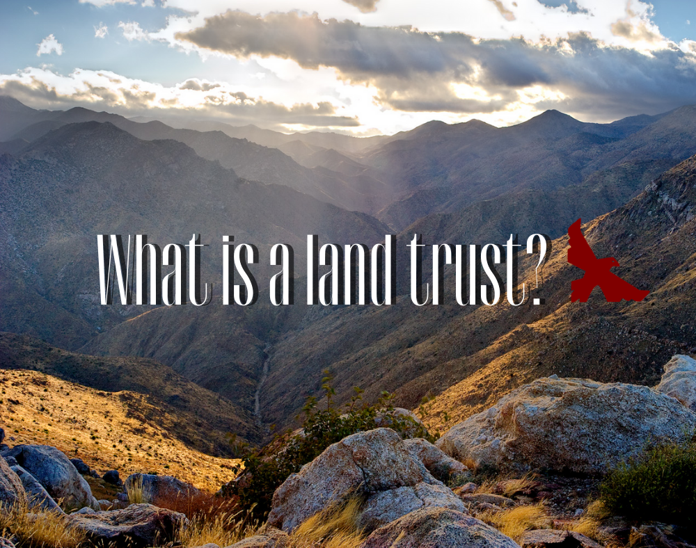 What is a land trust