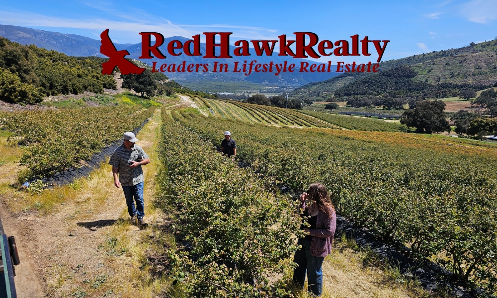 Red Hawk Realty Farming