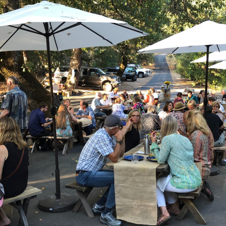 Julian Wine Tasting and Vineyard Properties