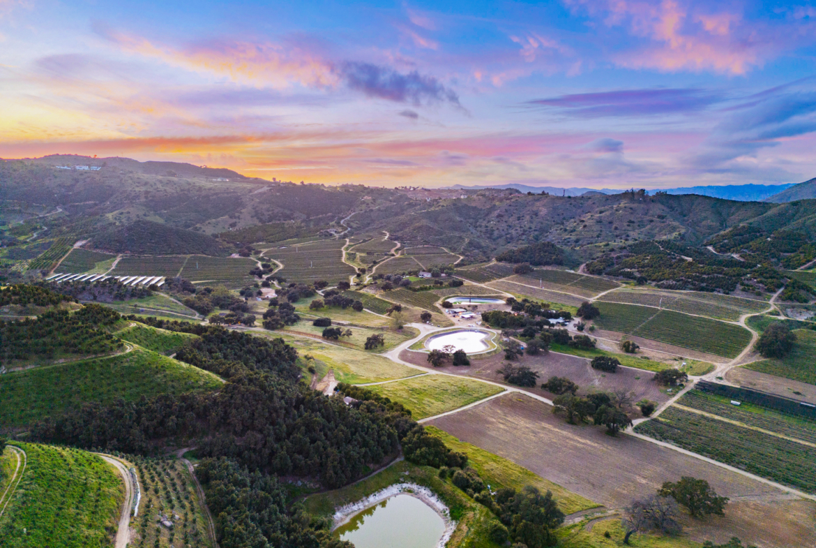 investment property for sale