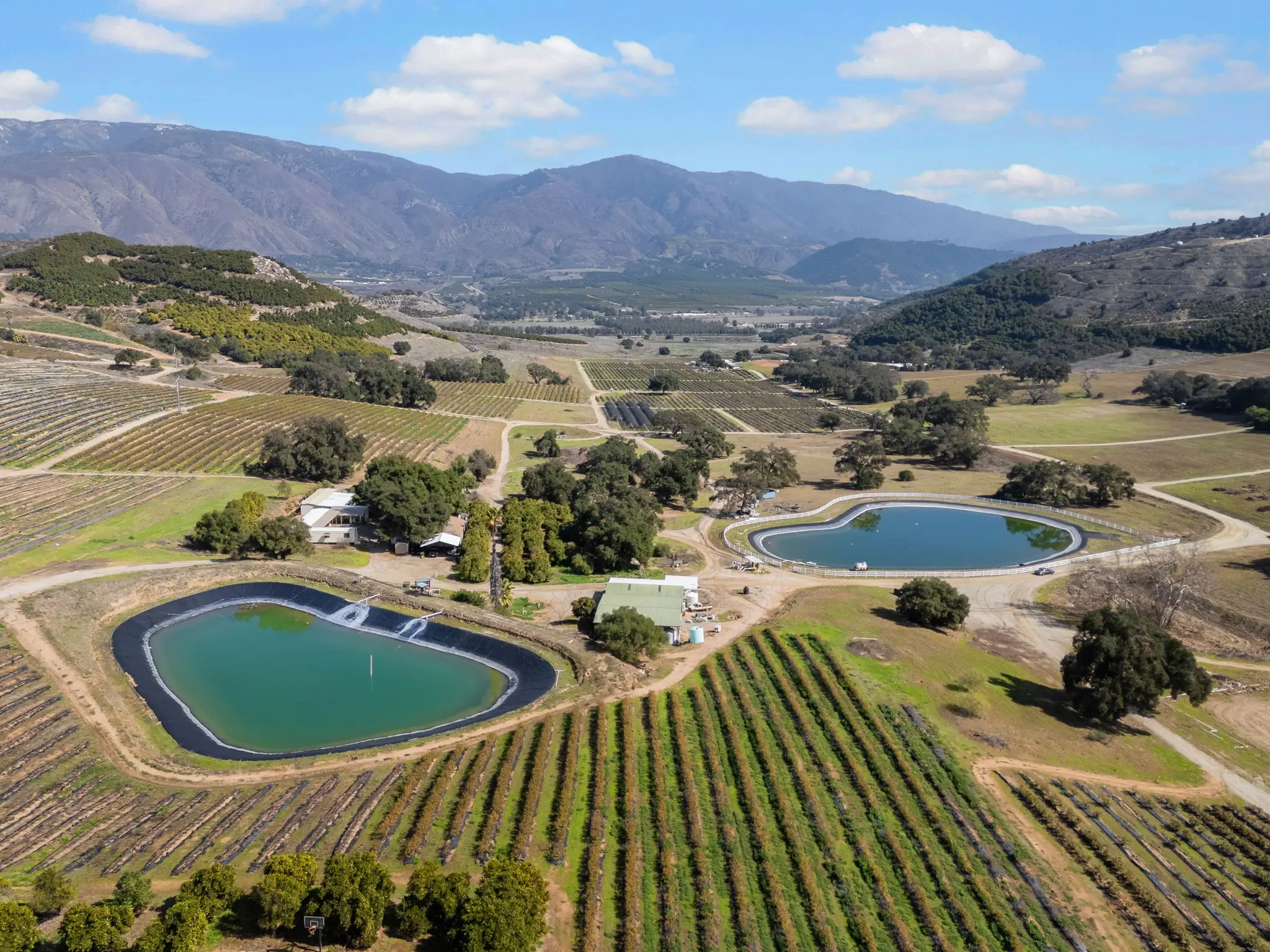 Fairfield Farms