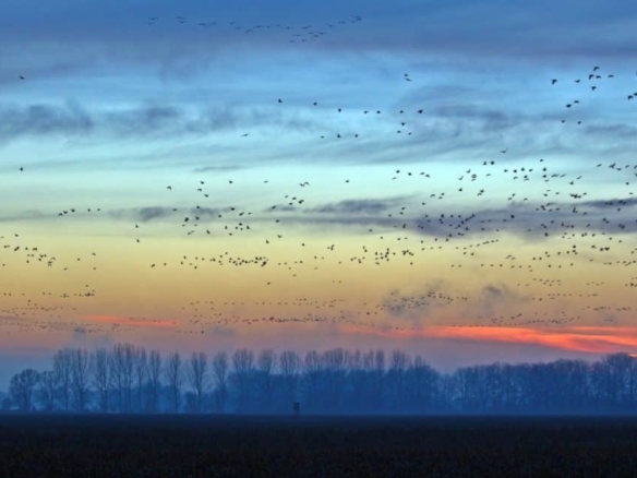 Hunting in San Diego