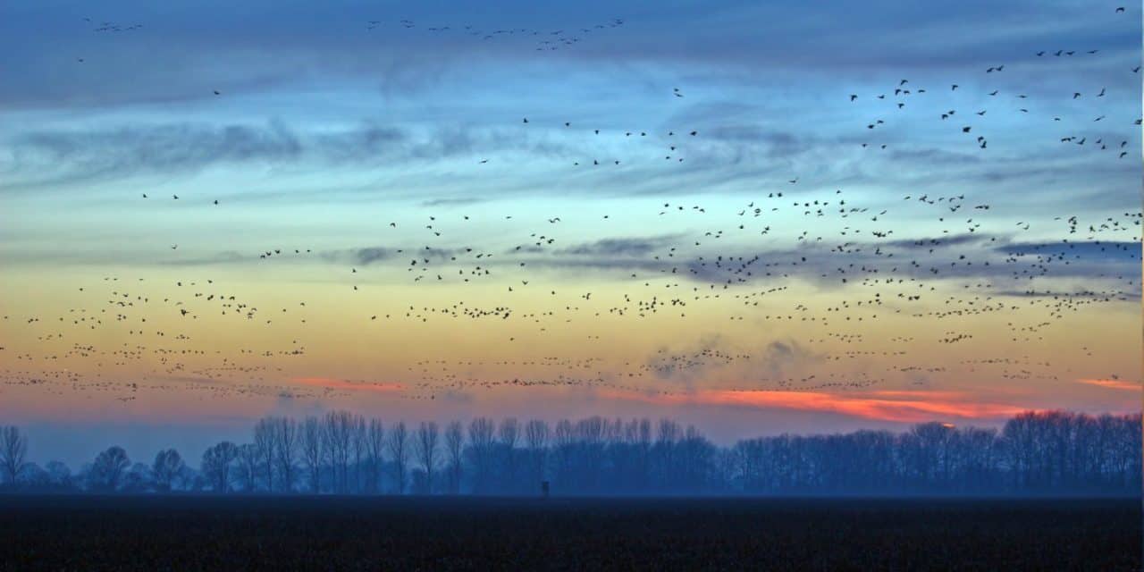 Hunting in San Diego