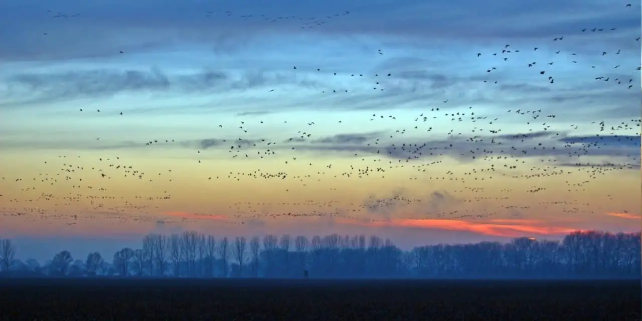 Hunting in San Diego
