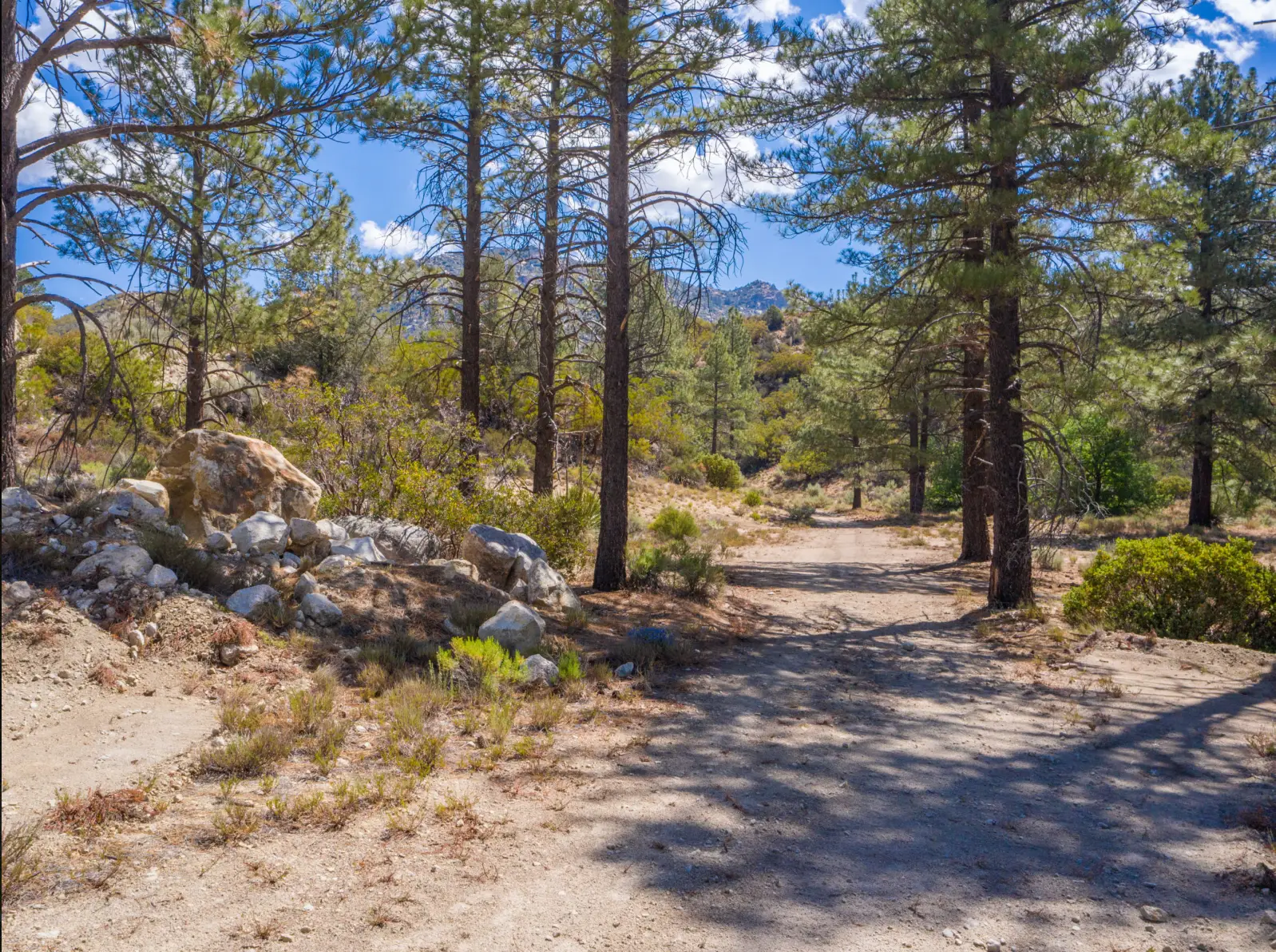 Sensational Mountain Home Site