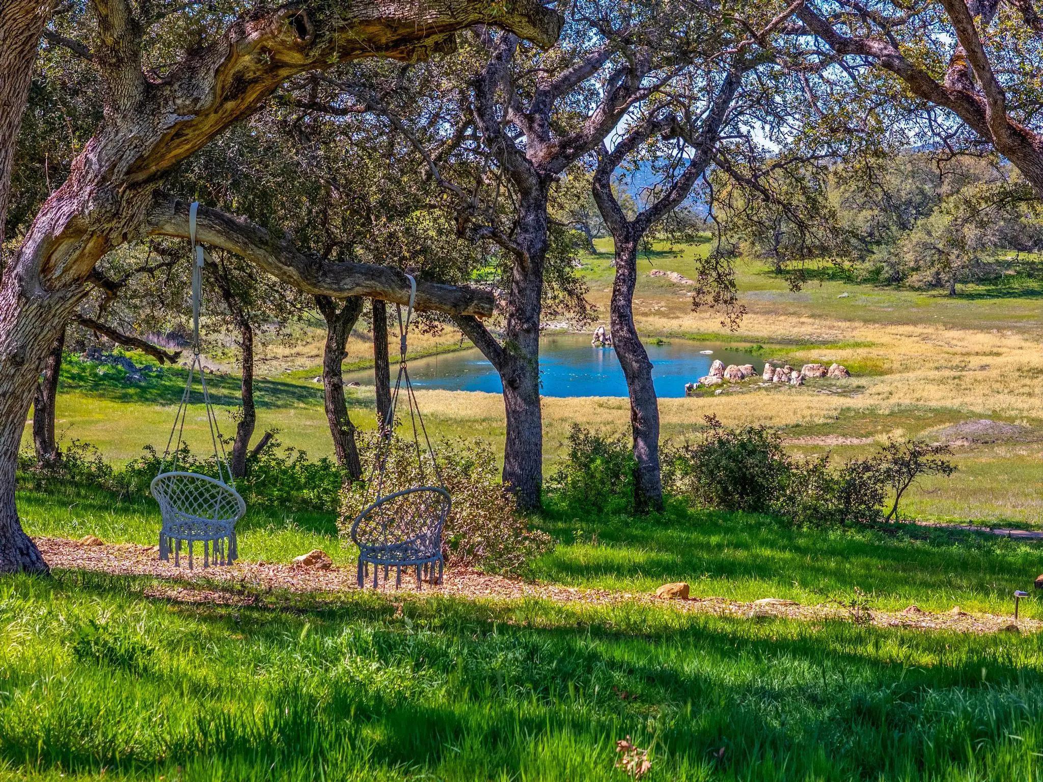 Engelmann Oak Ranch