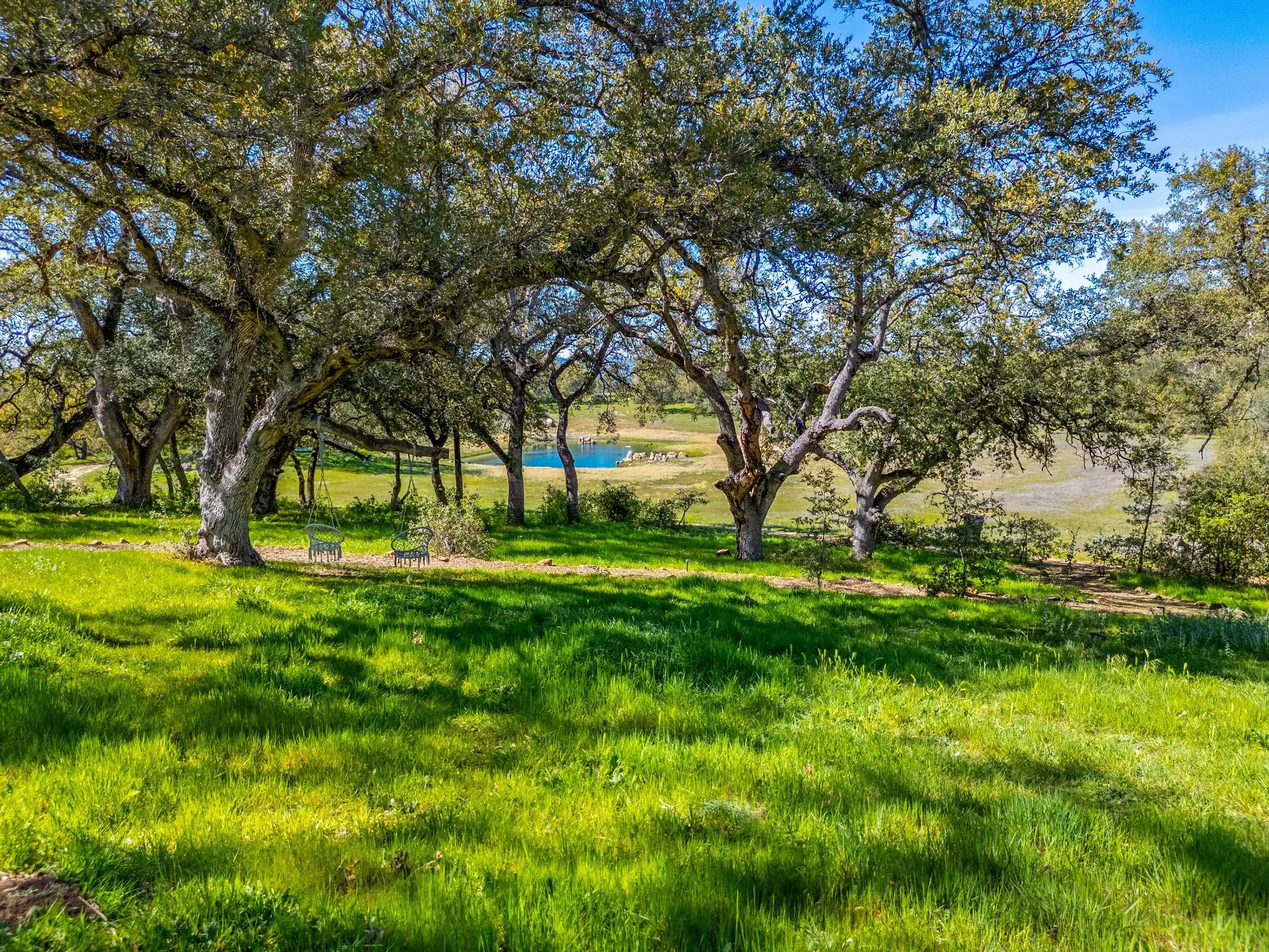 Engelmann Oak Ranch