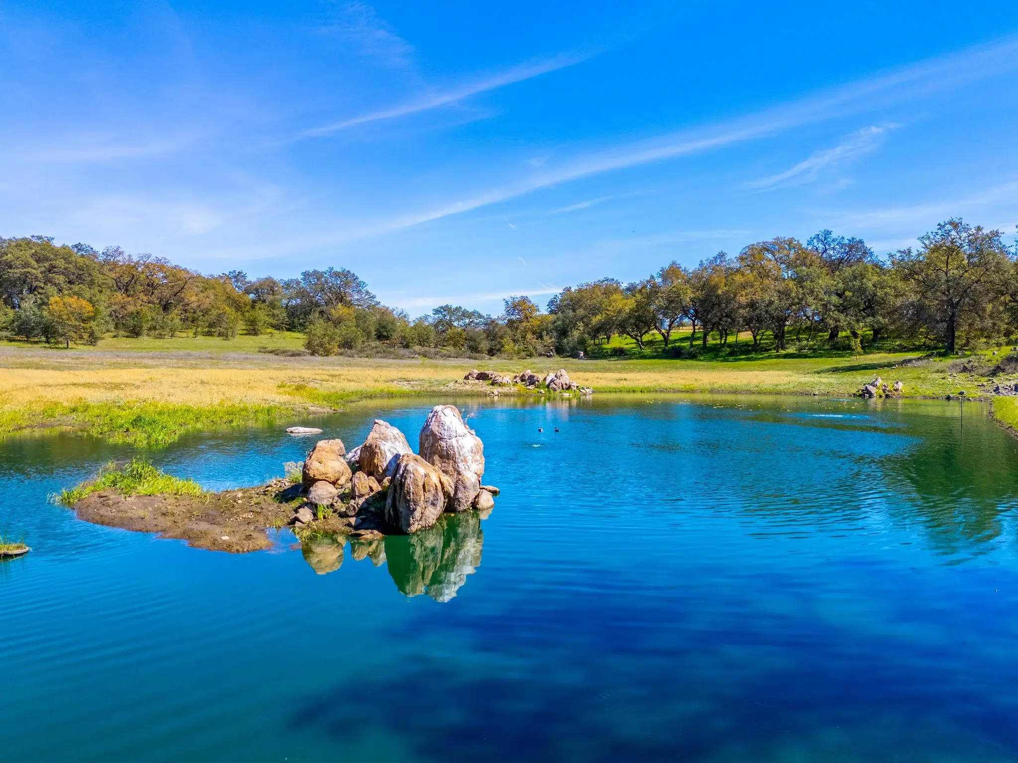 Engelmann Oak Ranch