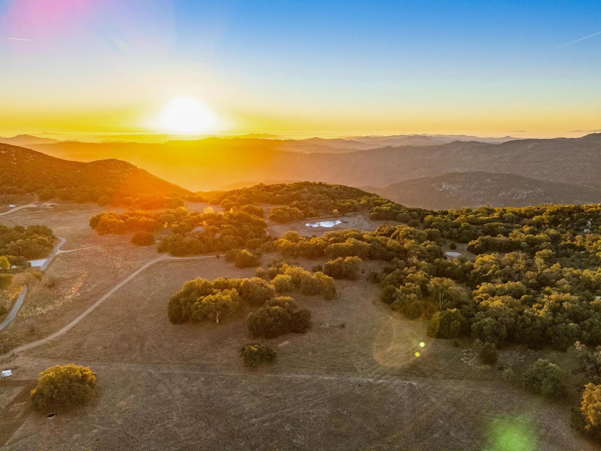 Engelmann Oak Ranch