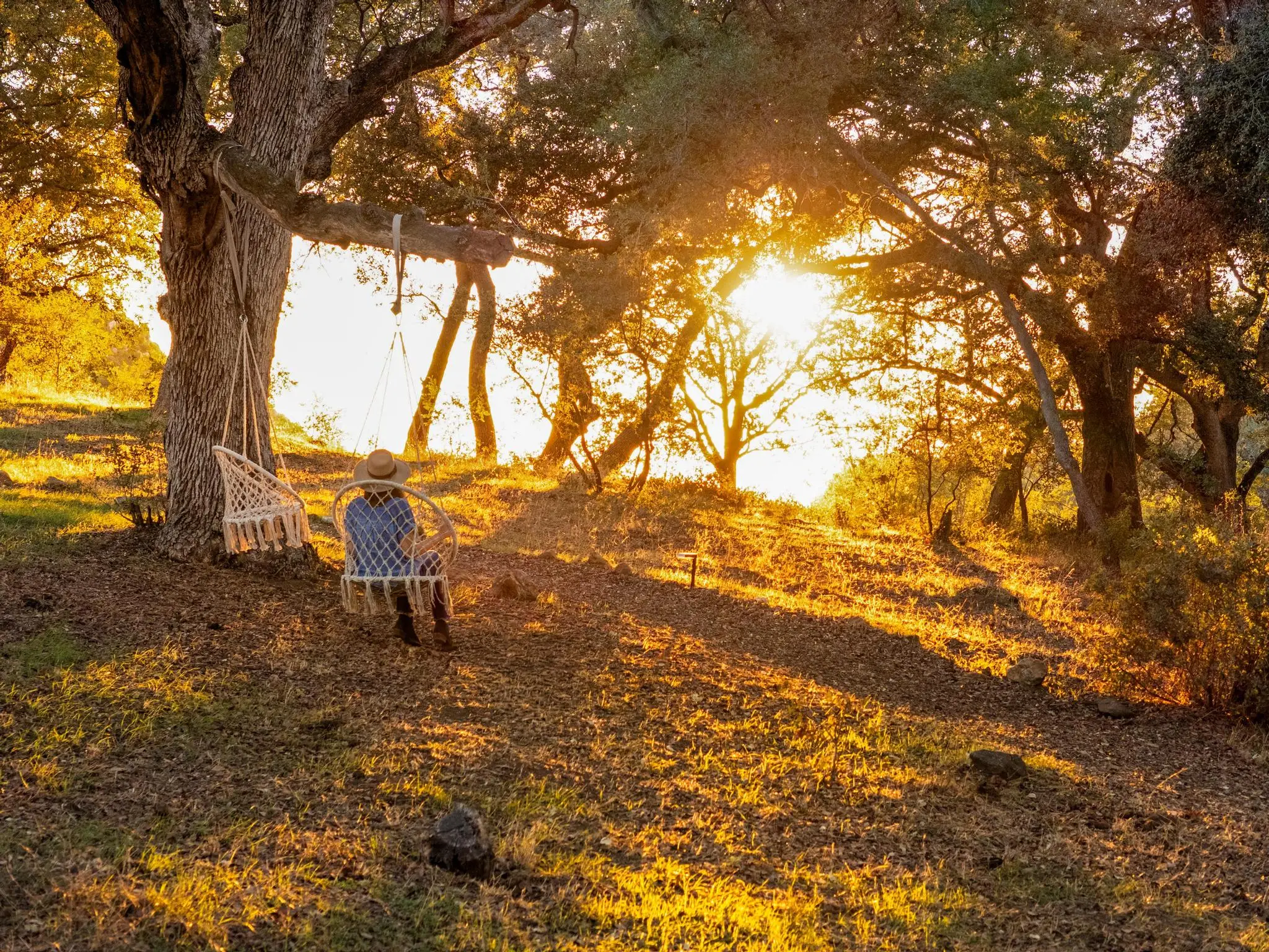 Engelmann Oak Ranch