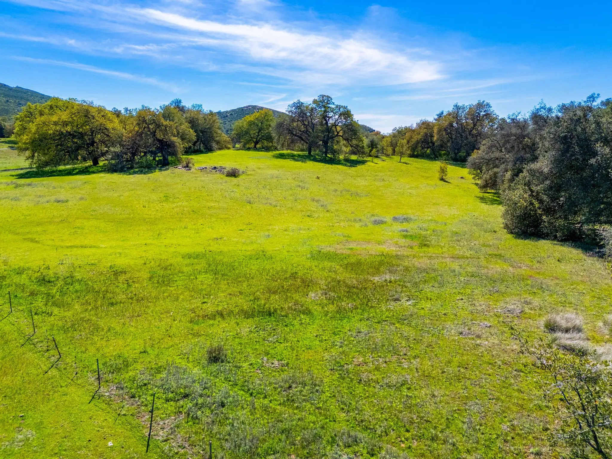 Engelmann Oak Ranch