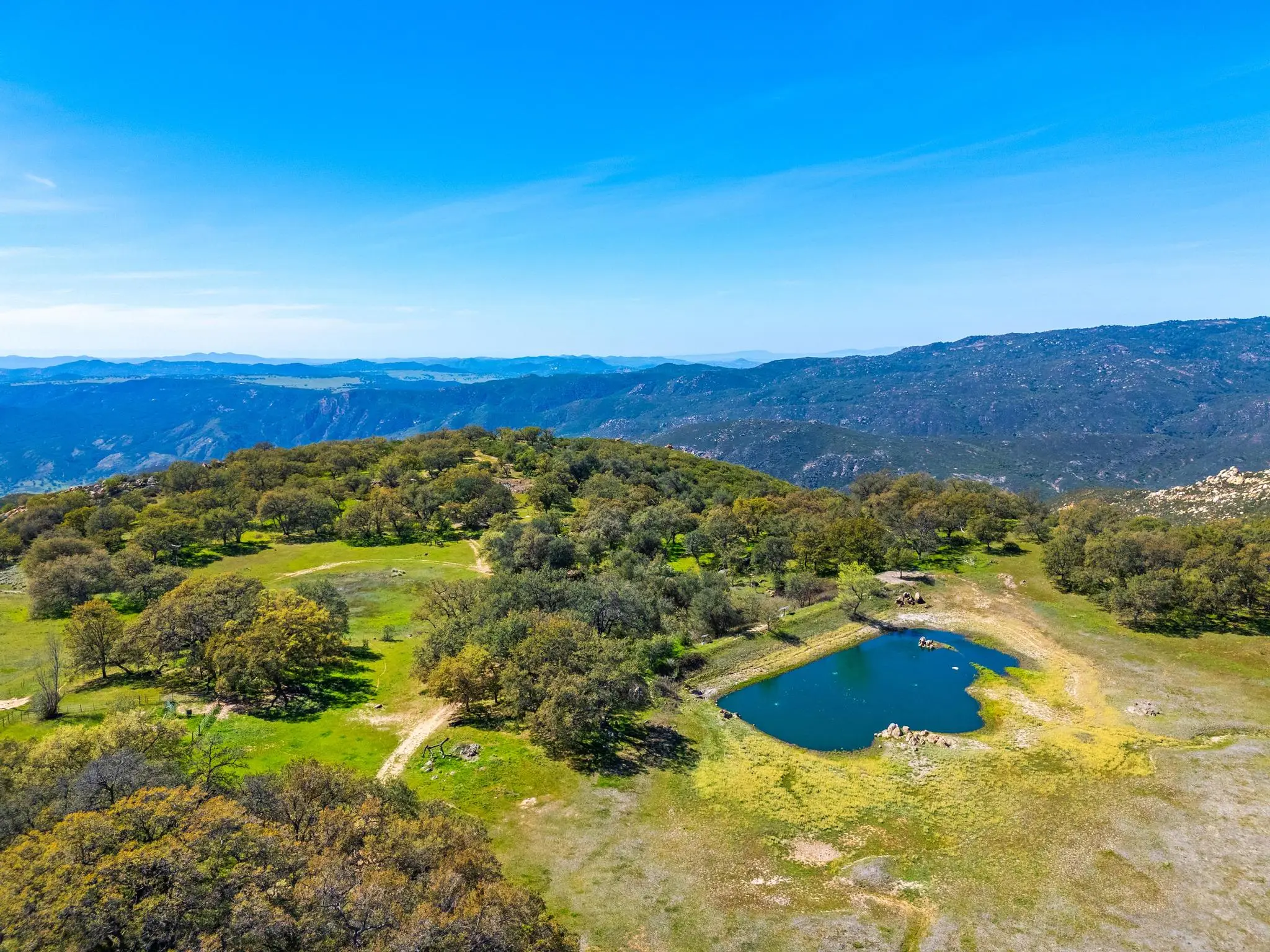 Engelmann Oak Ranch