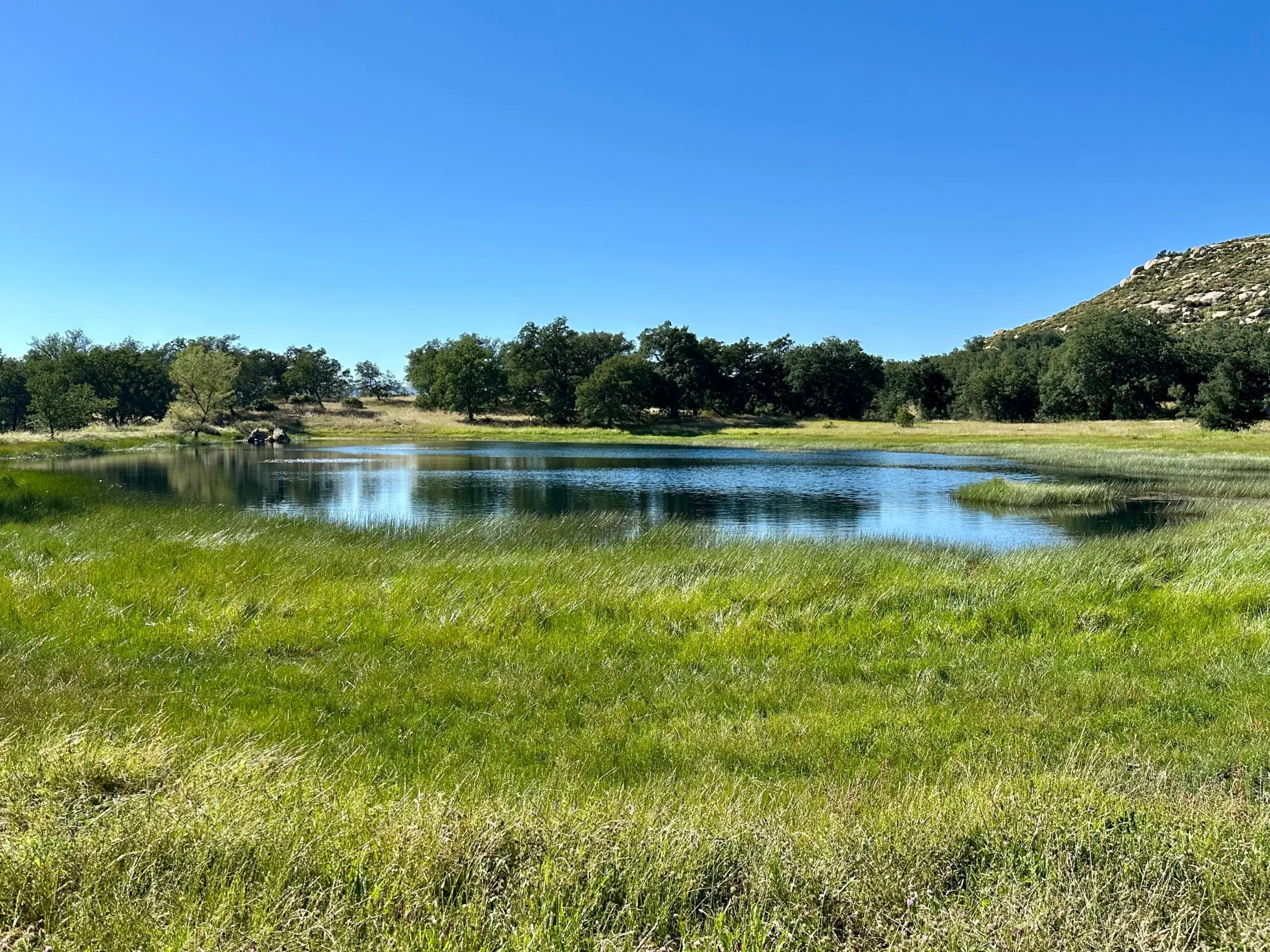 Engelmann Oak Ranch