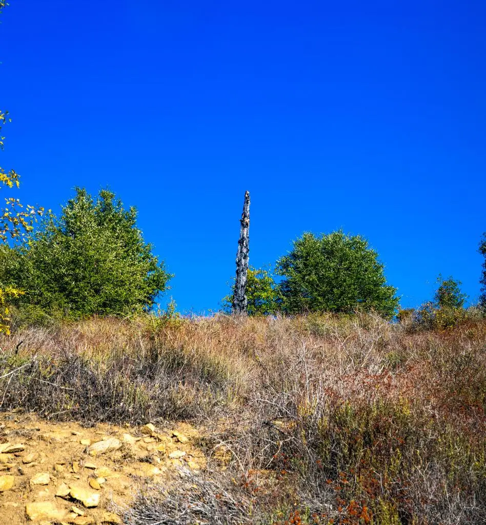 Doane Valley Ridge