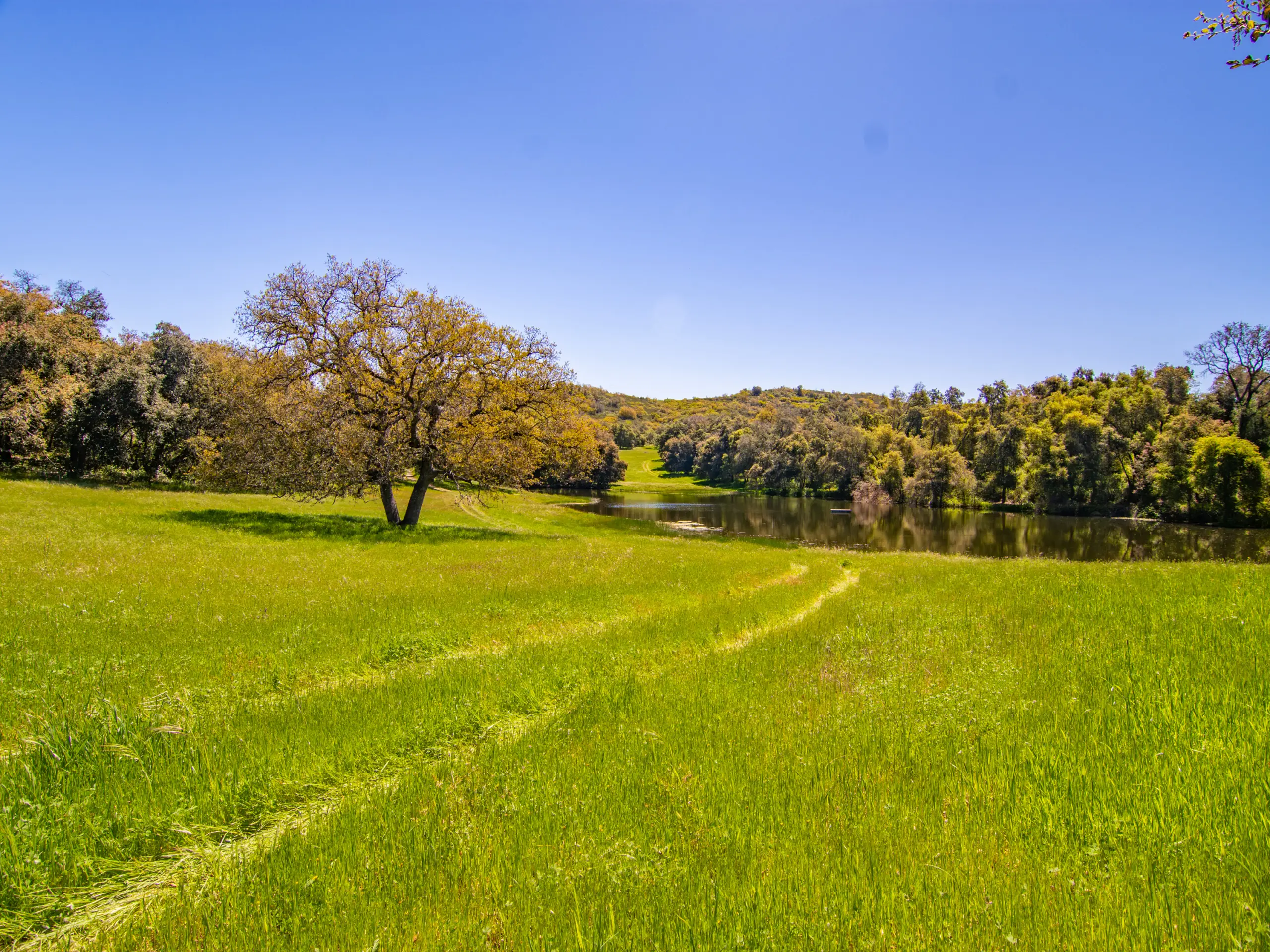 Rancho De Ensueno
