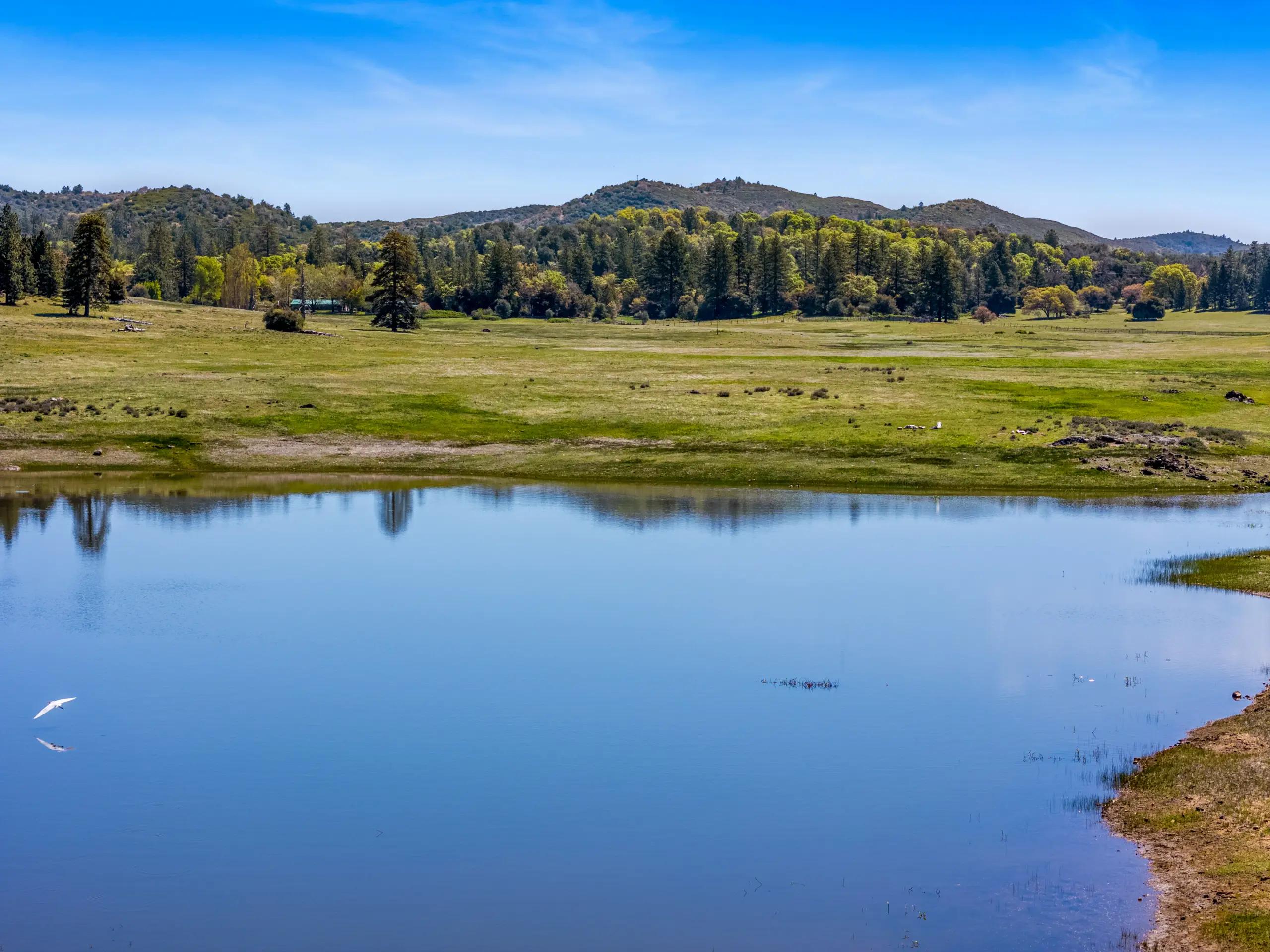 Oak Ridge Stock Farm