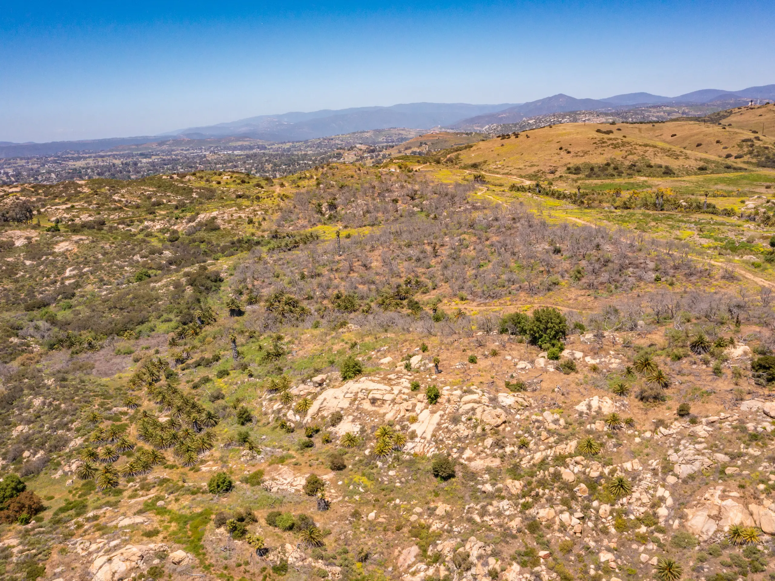 Spangler Peak Ranch