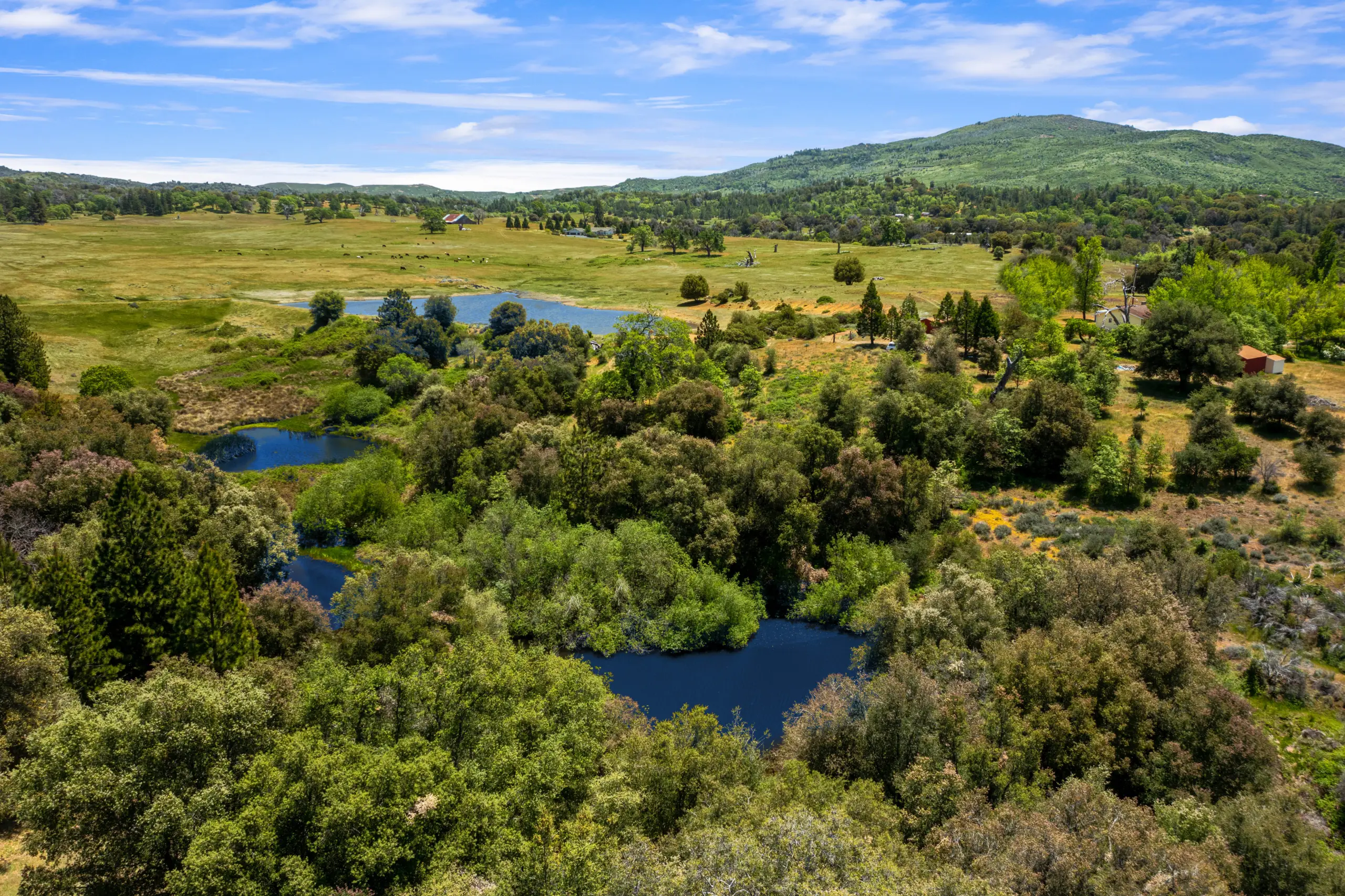 Oak Ridge Stock Farm