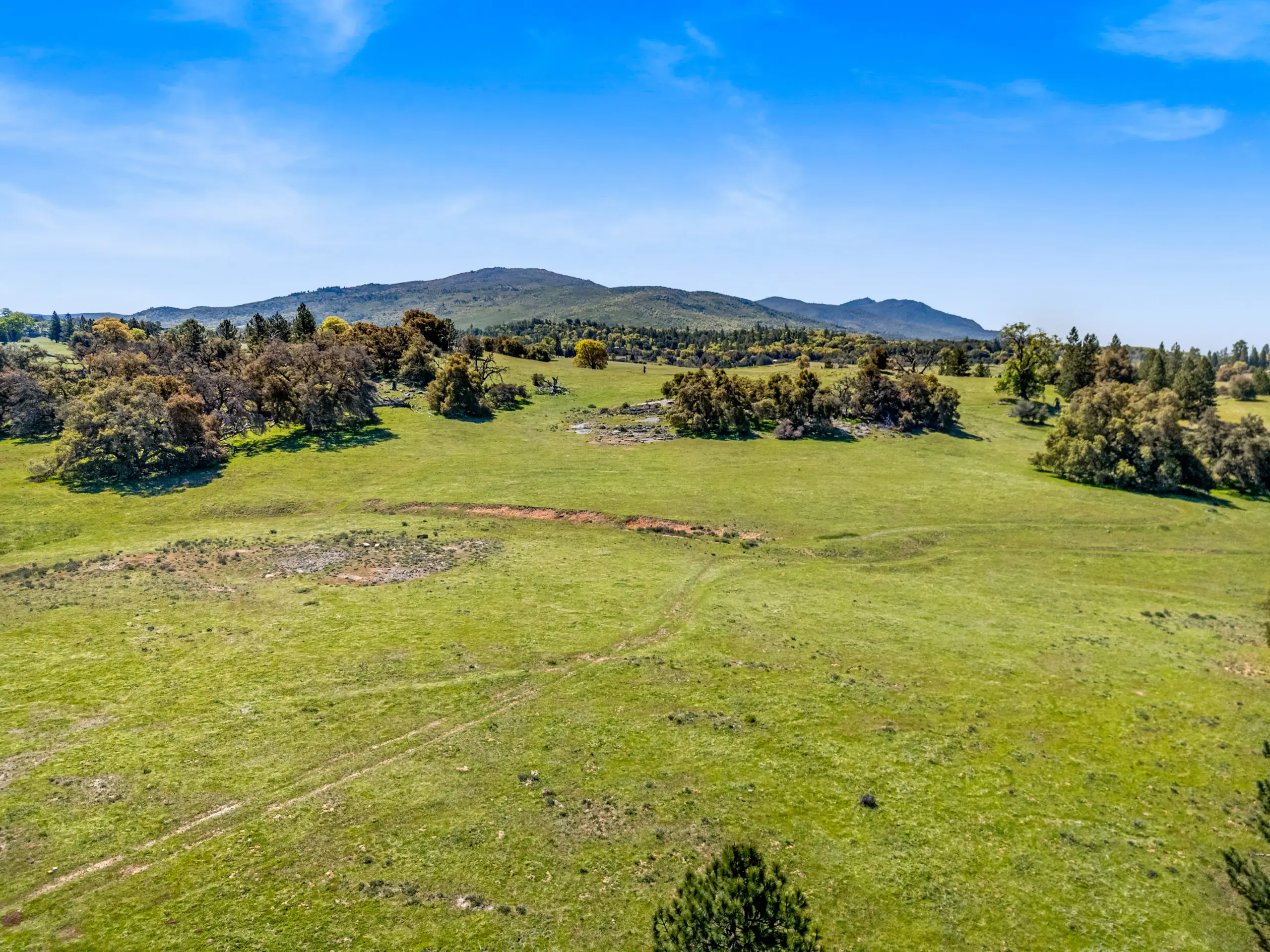 Oak Ridge Stock Farm