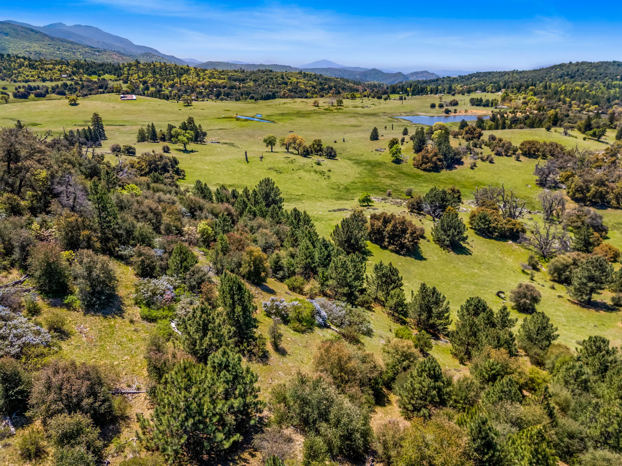 Oak Ridge Stock Farm