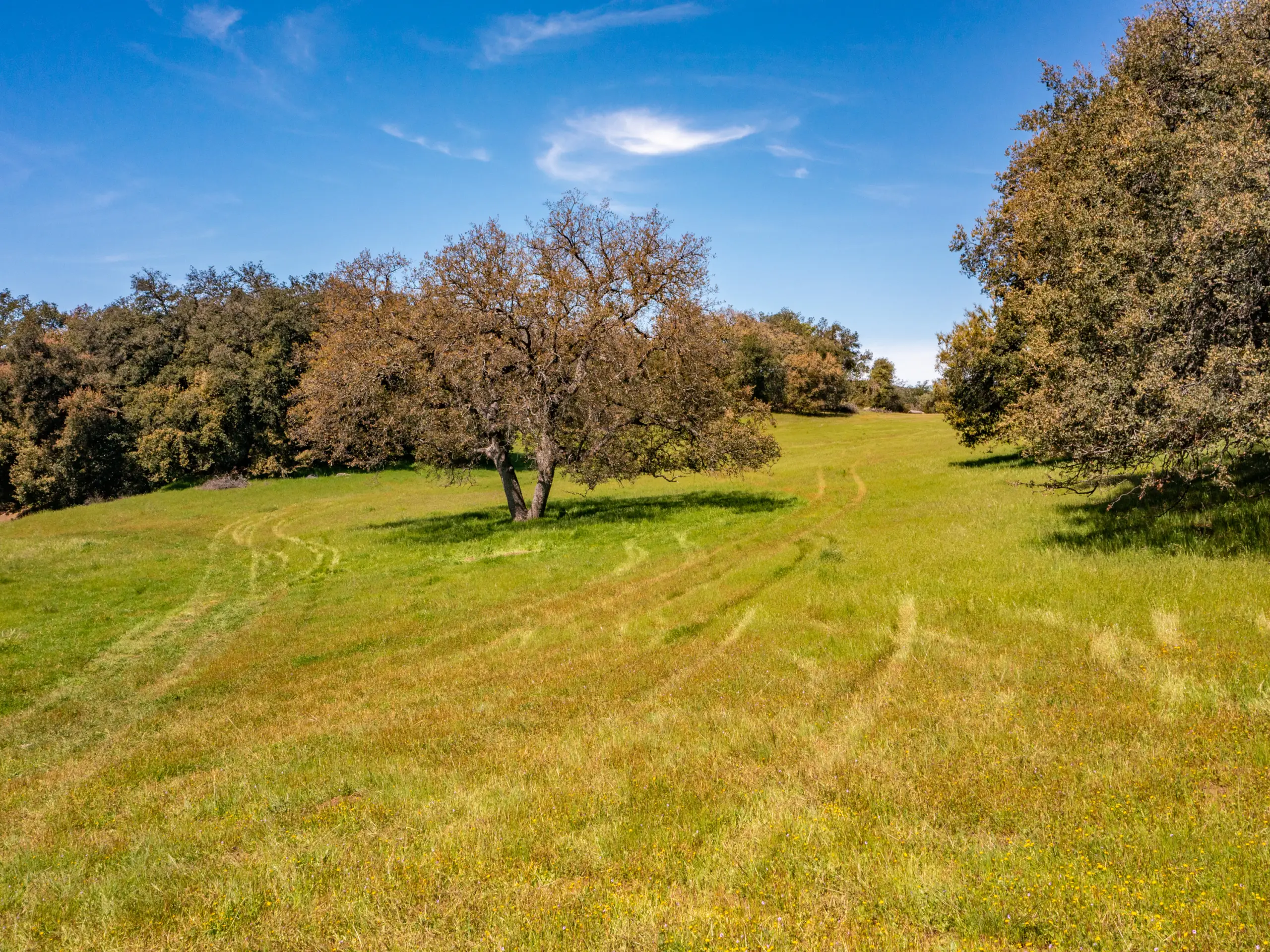 Rancho De Ensueno
