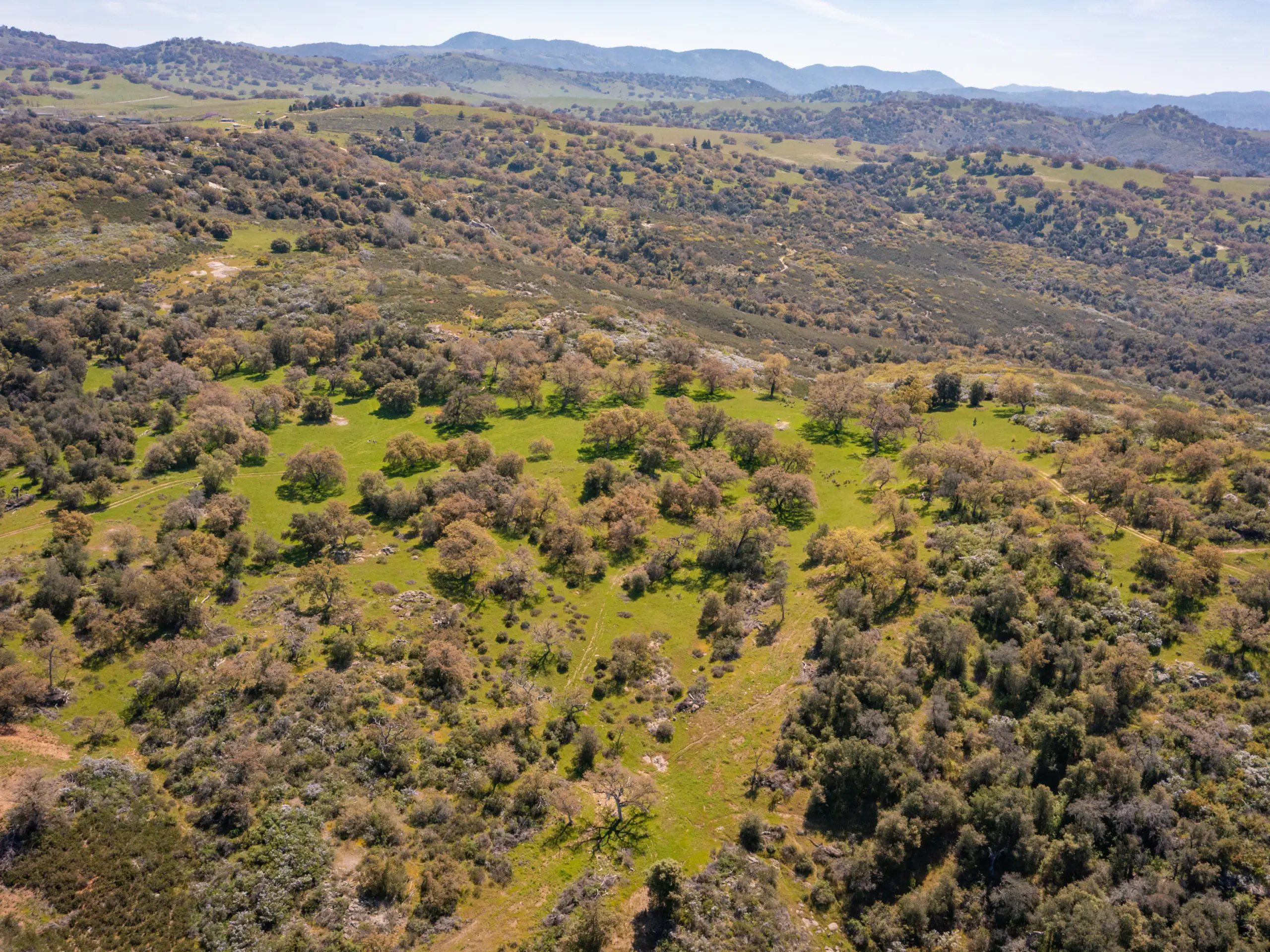 Rancho De Ensueno