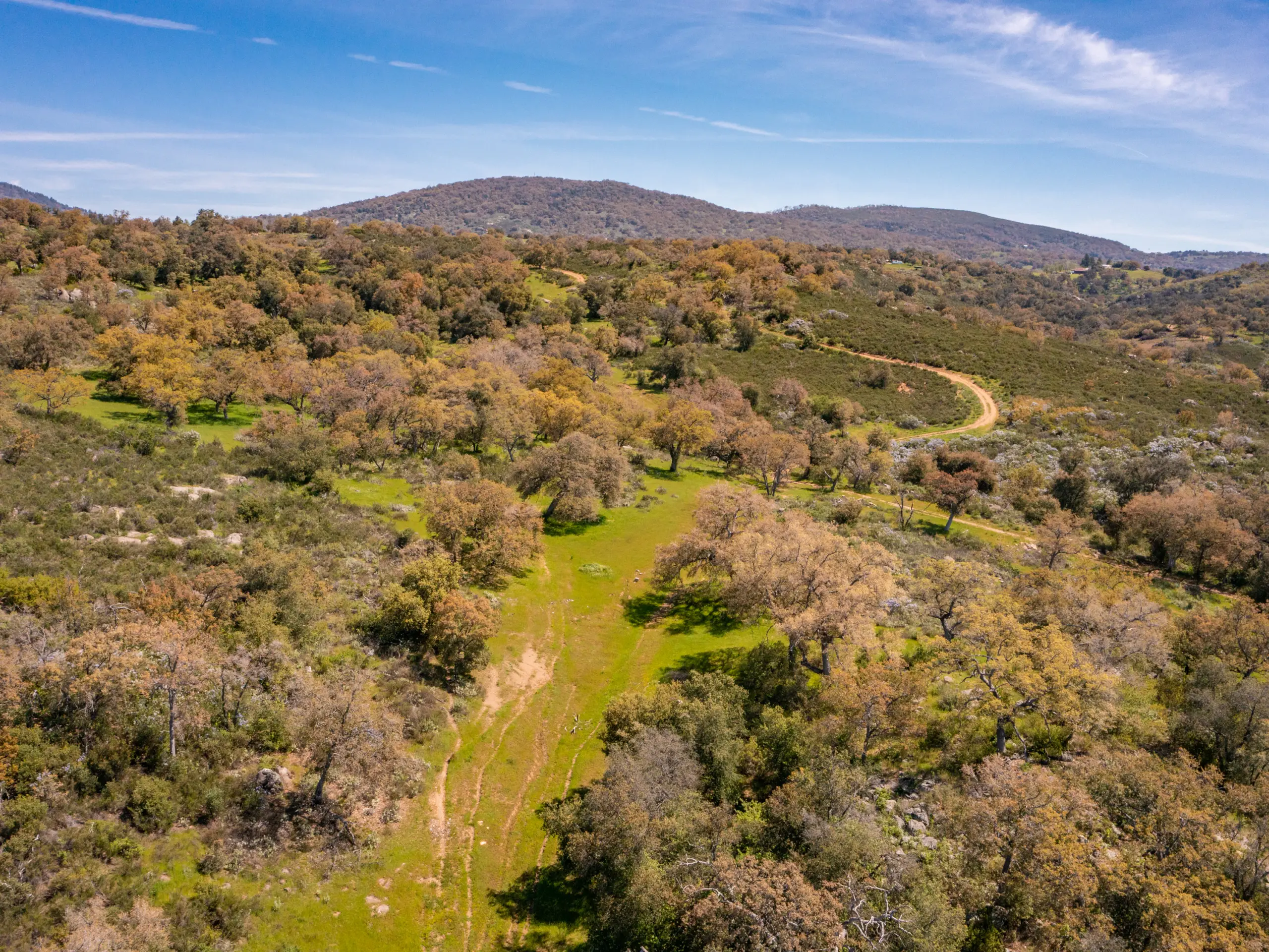 Rancho De Ensueno