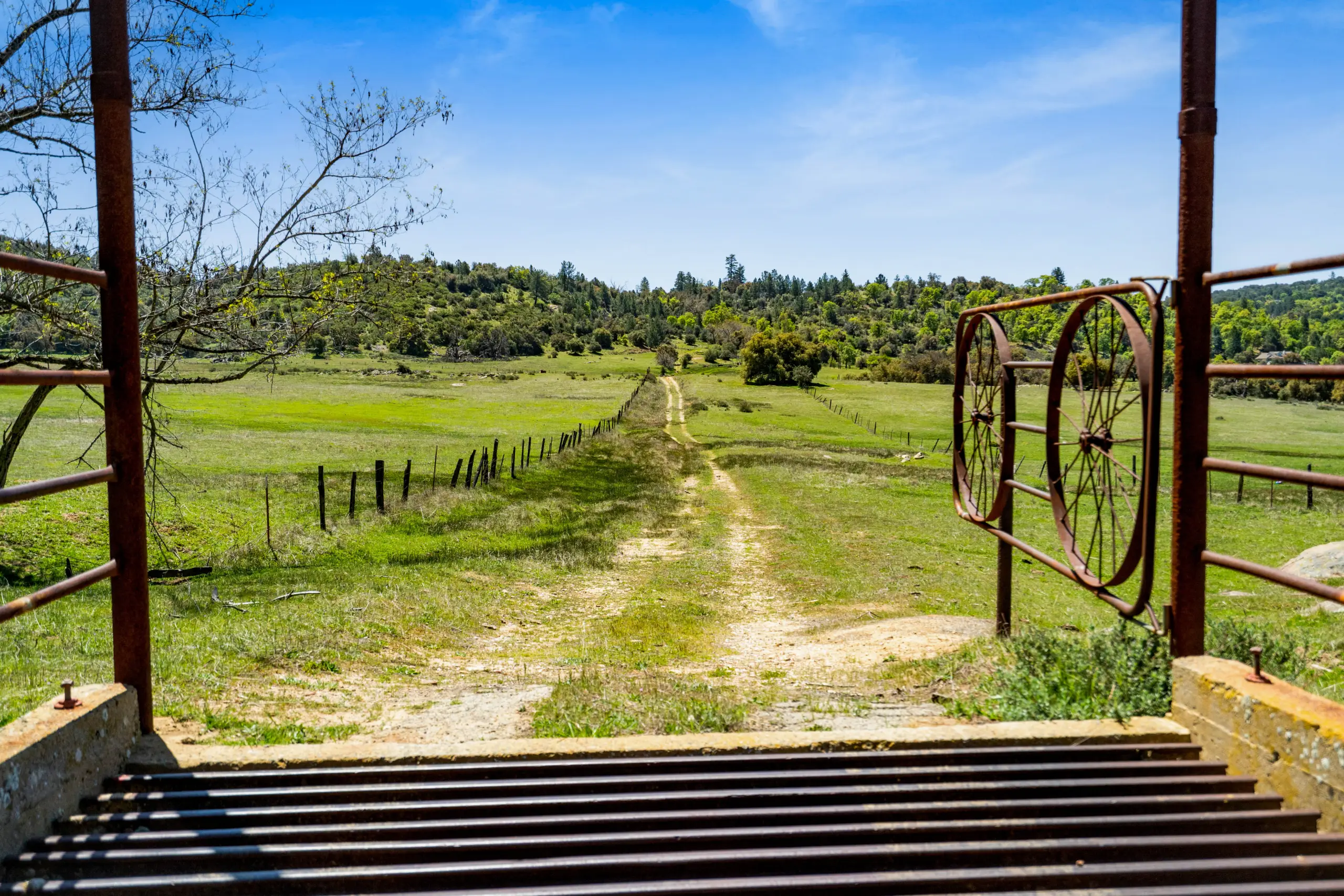 Oak Ridge Stock Farm