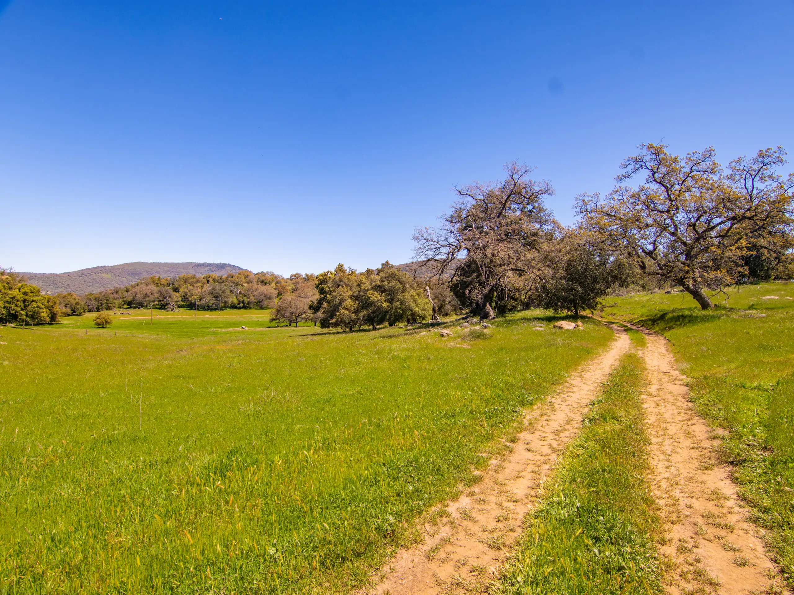 Rancho De Ensueno