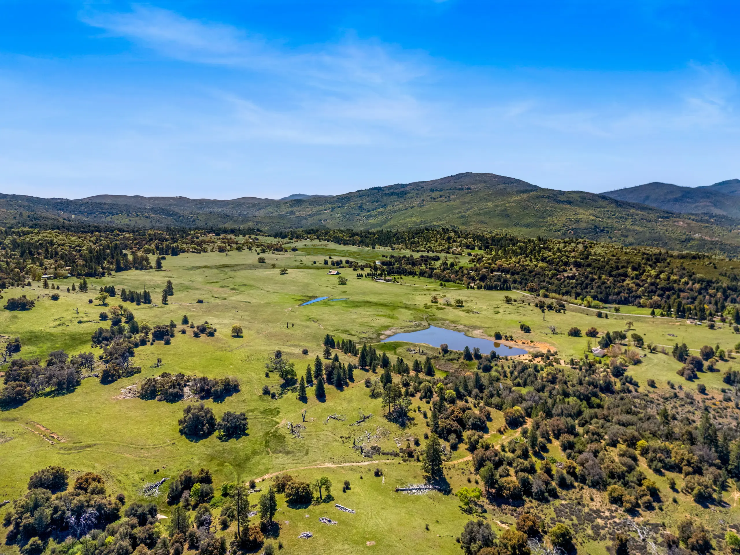 Oak Ridge Stock Farm