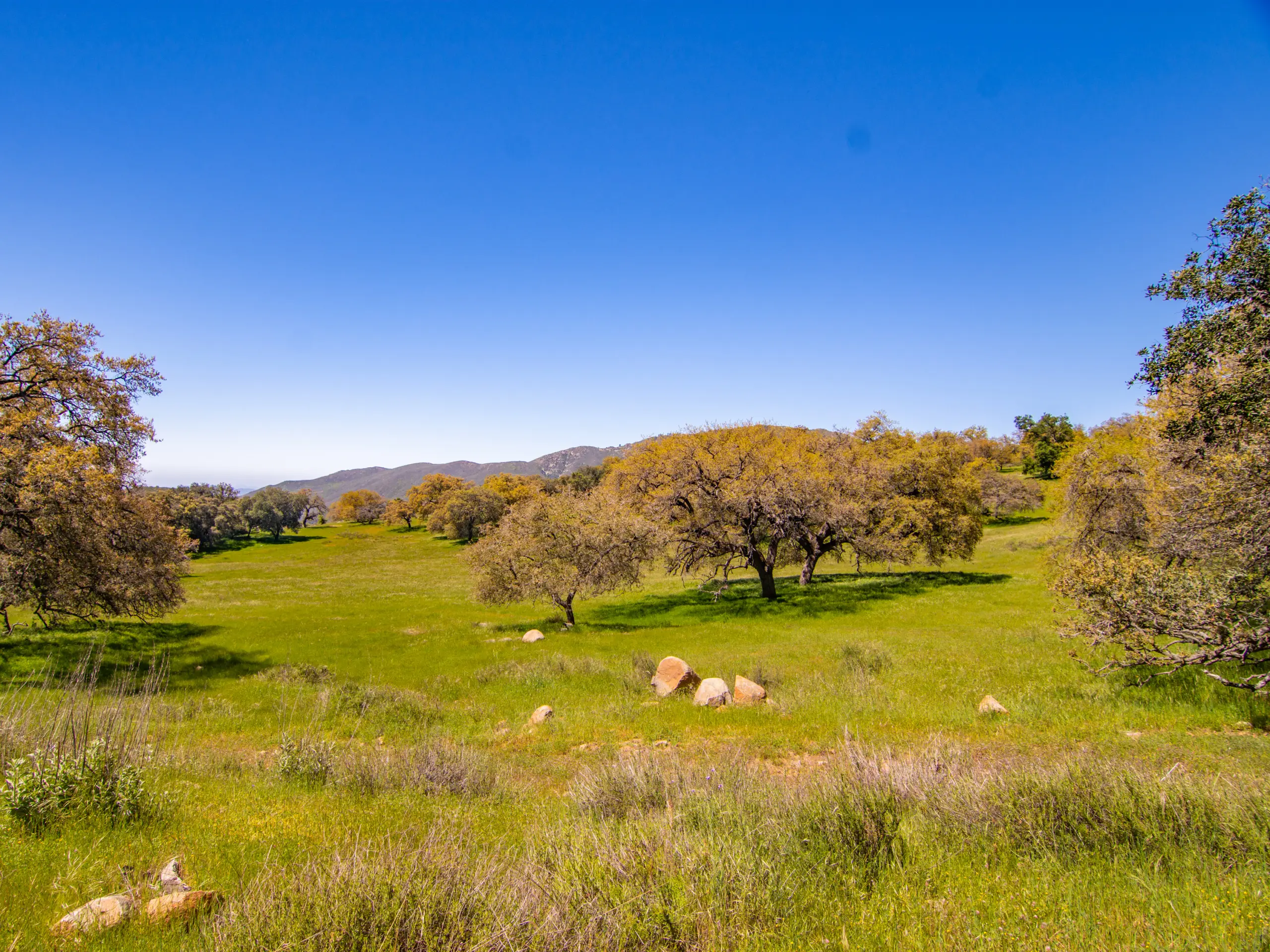 Rancho De Ensueno