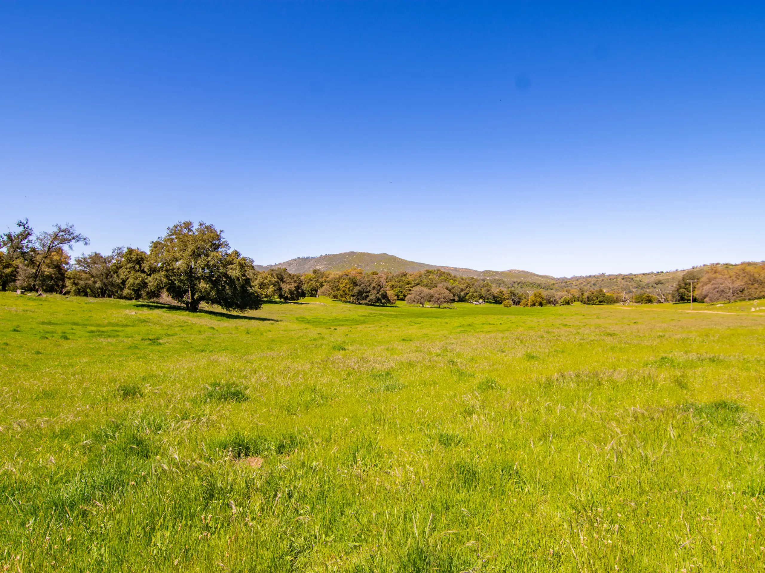 Rancho De Ensueno
