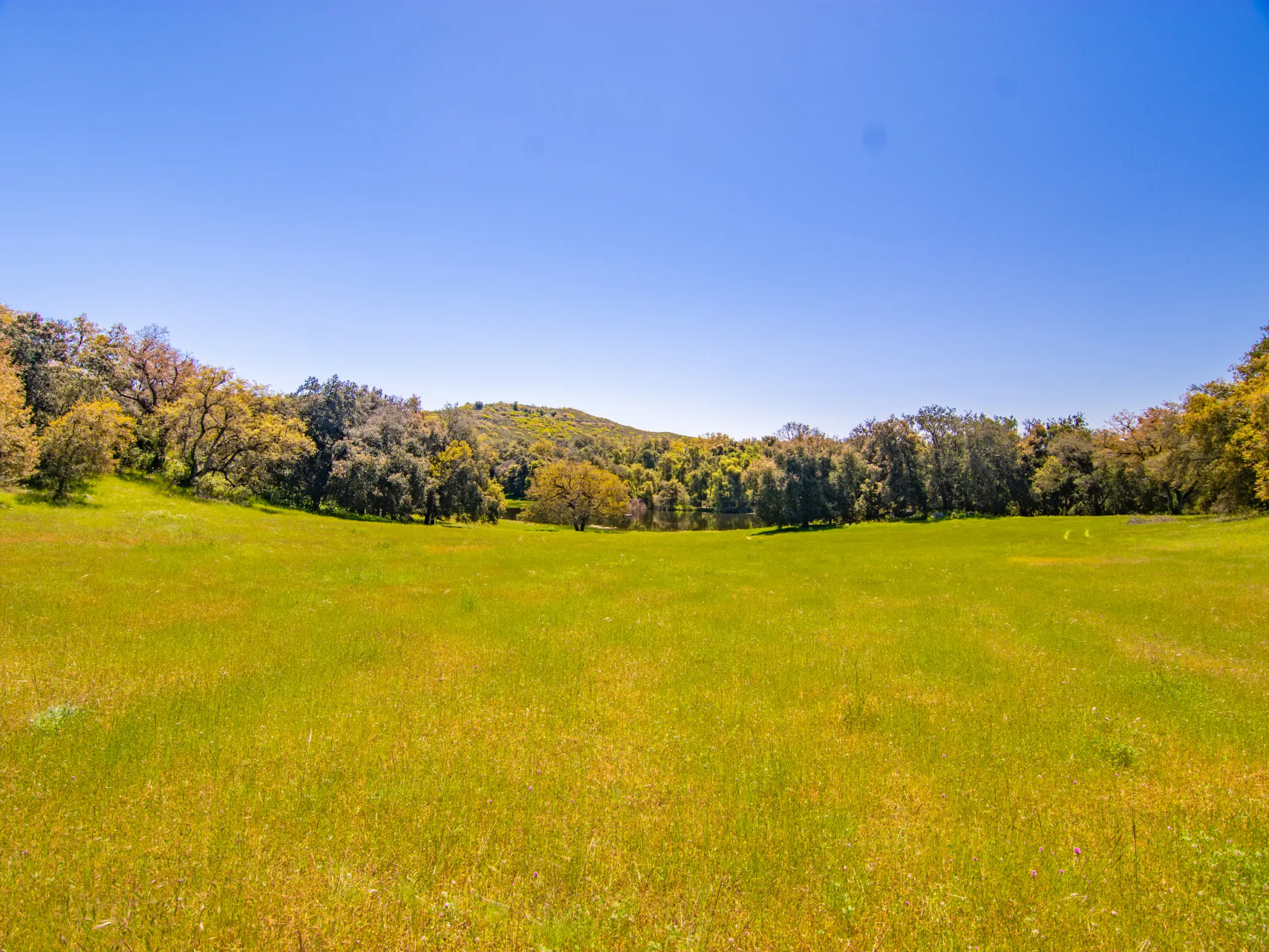 Rancho De Ensueno