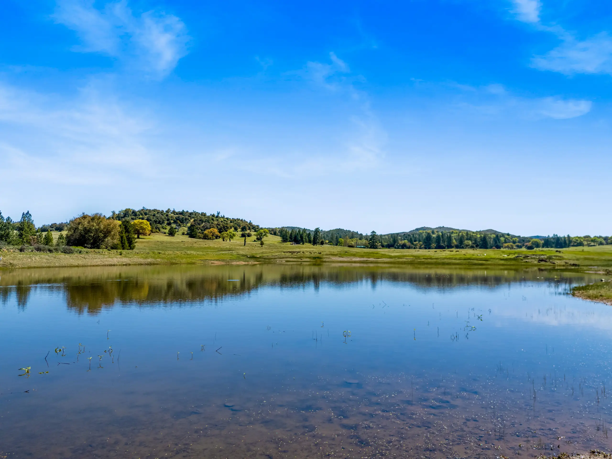 Oak Ridge Stock Farm