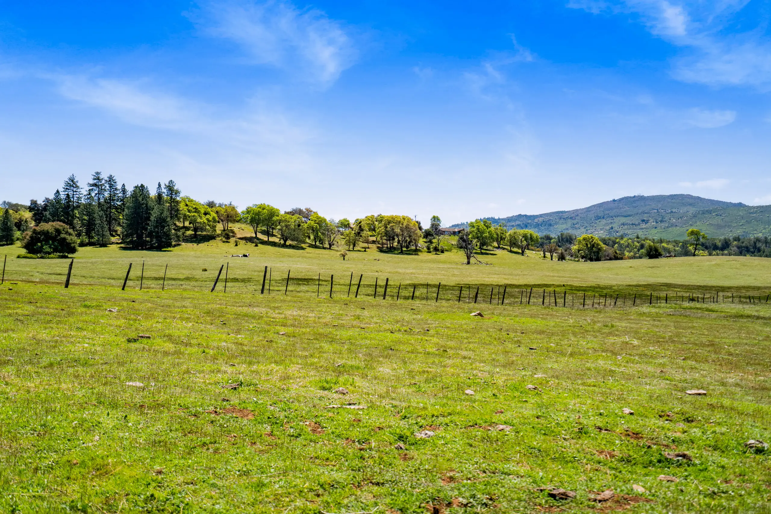 Oak Ridge Stock Farm