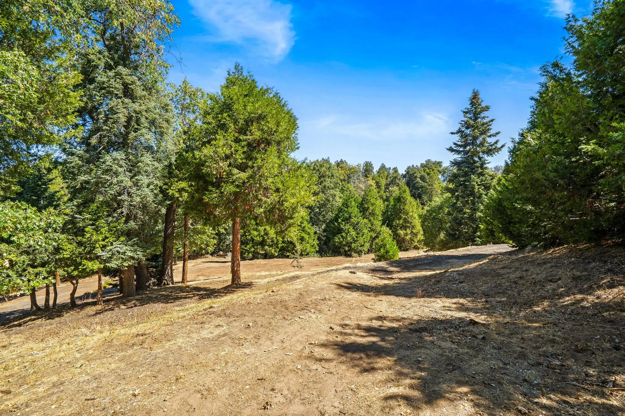 Palomar Mountain Hideaway
