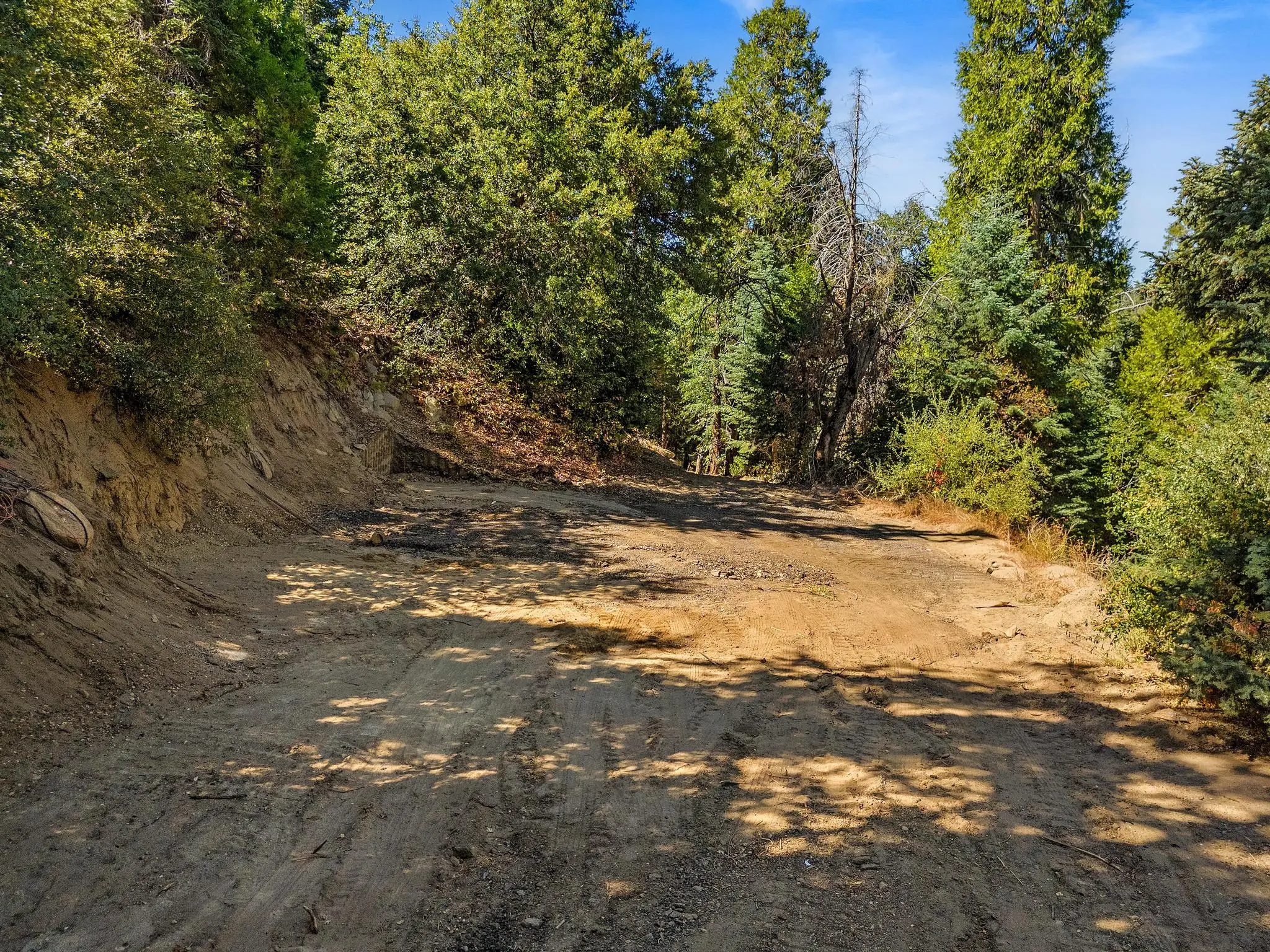Palomar Mountain Hideaway