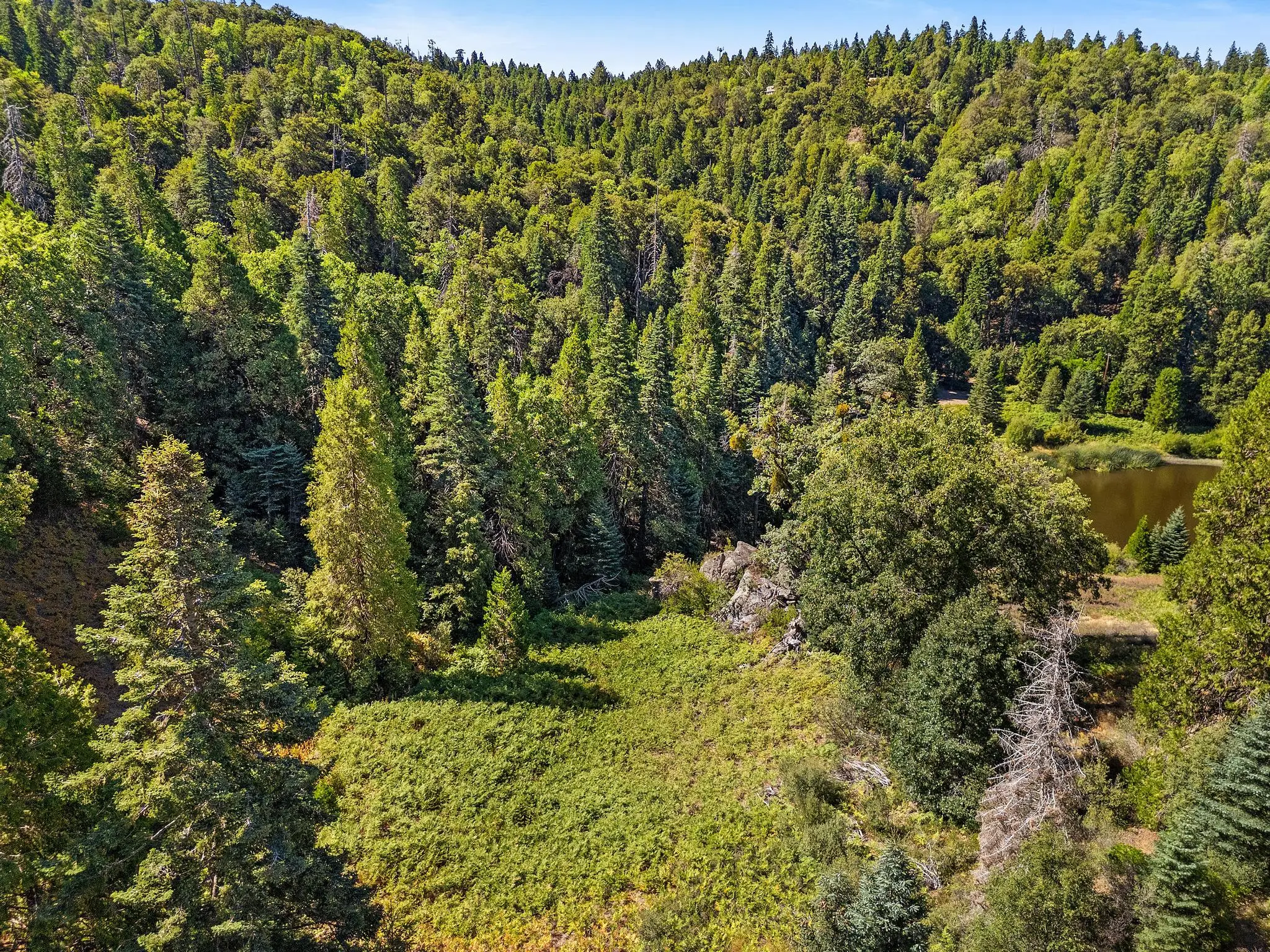 Palomar Mountain Hideaway