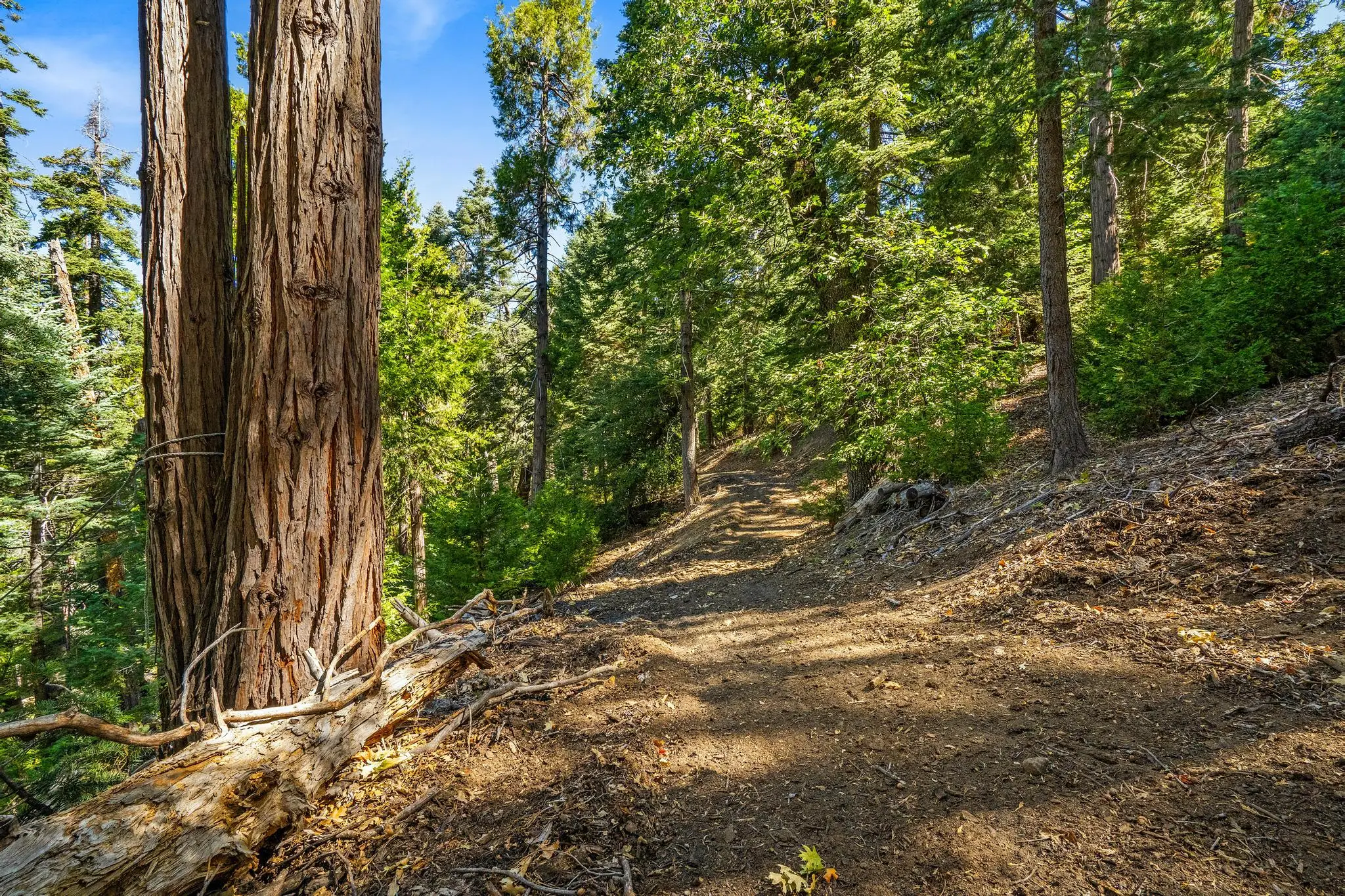 Palomar Mountain Hideaway