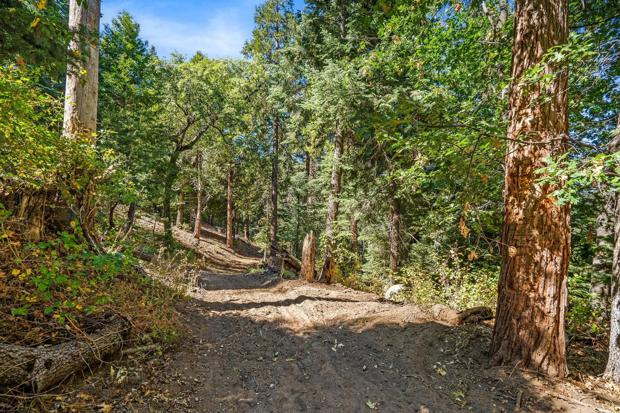 Palomar Mountain Hideaway