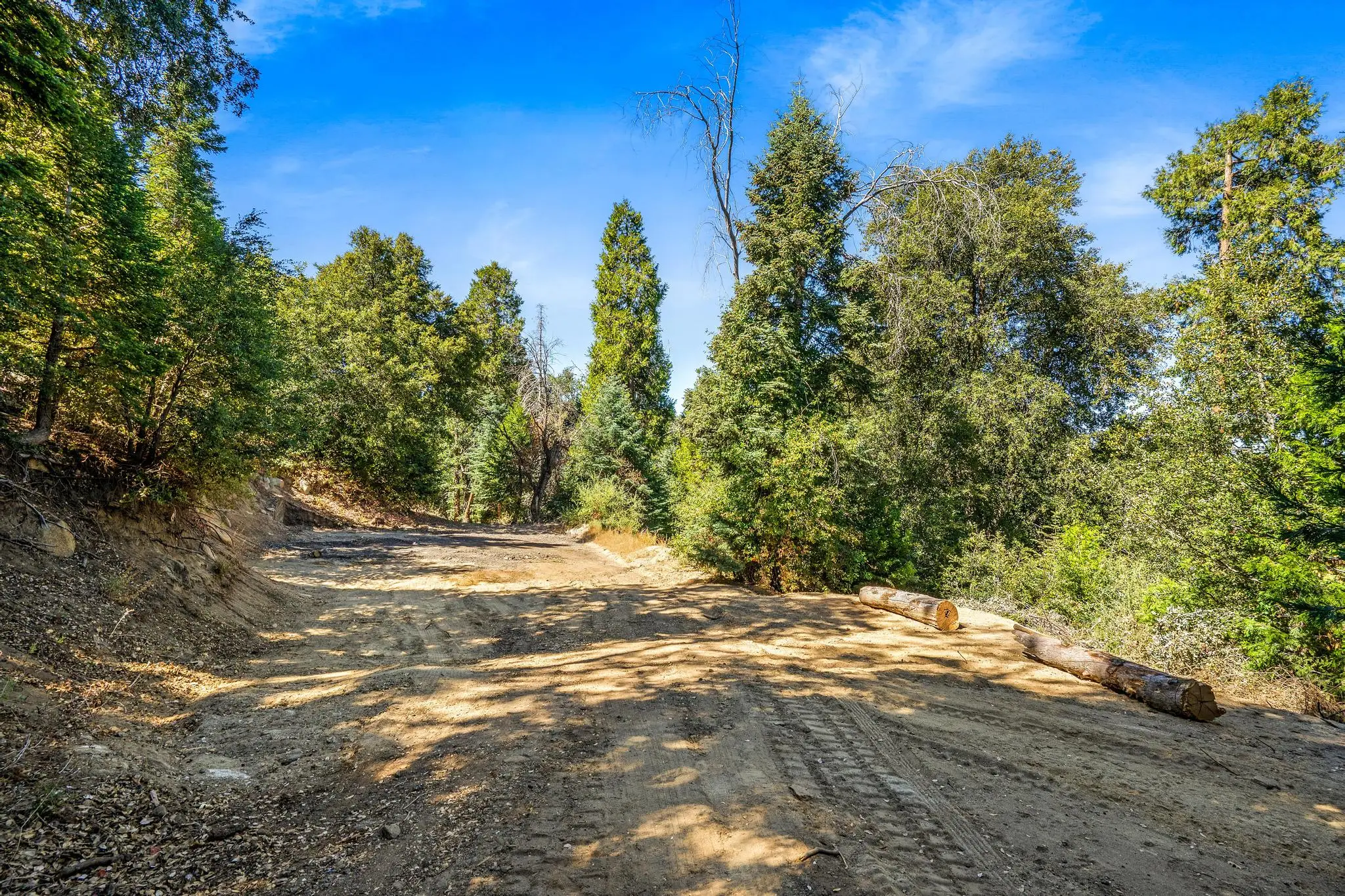 Palomar Mountain Hideaway