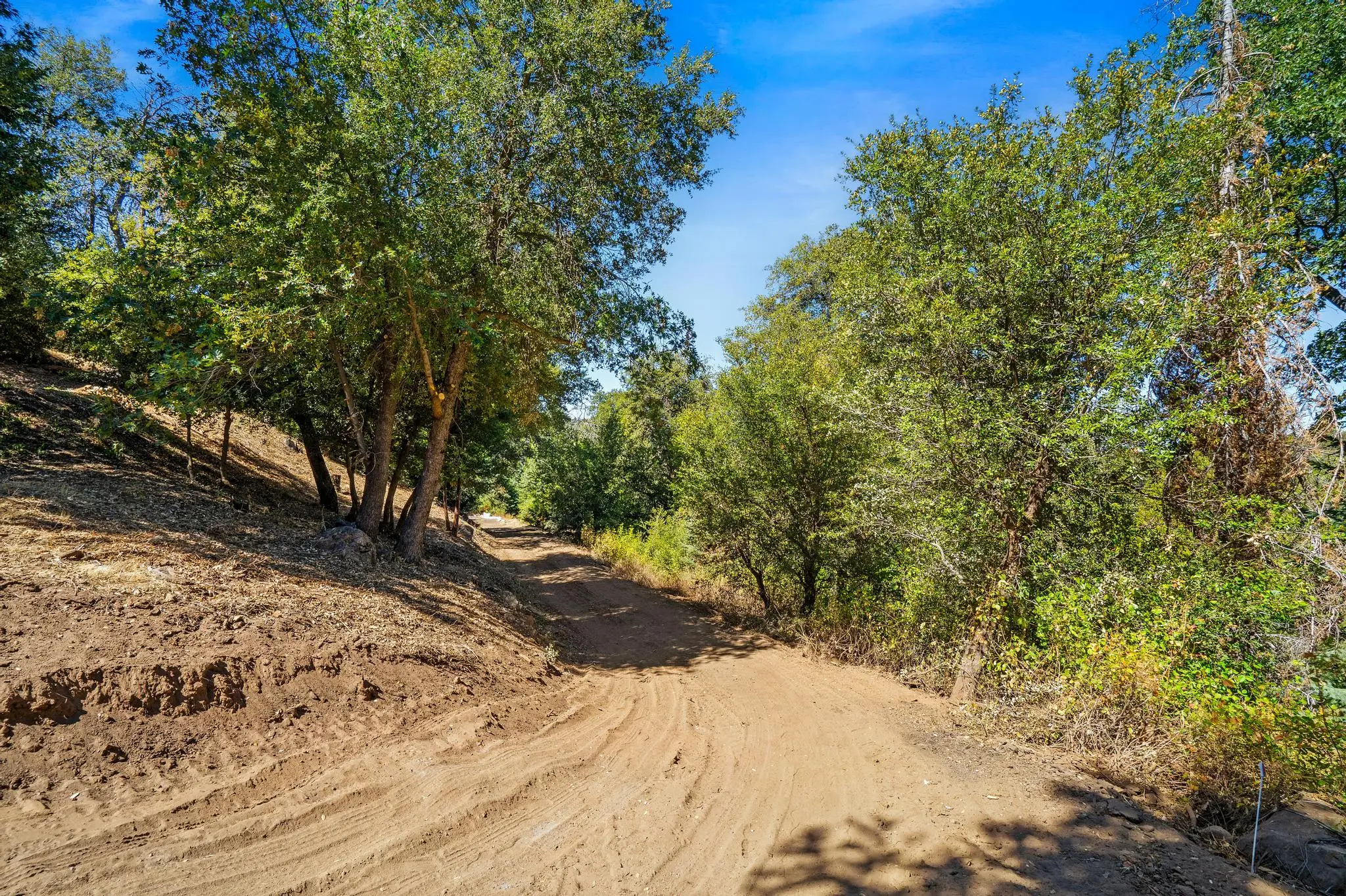 Palomar Mountain Hideaway