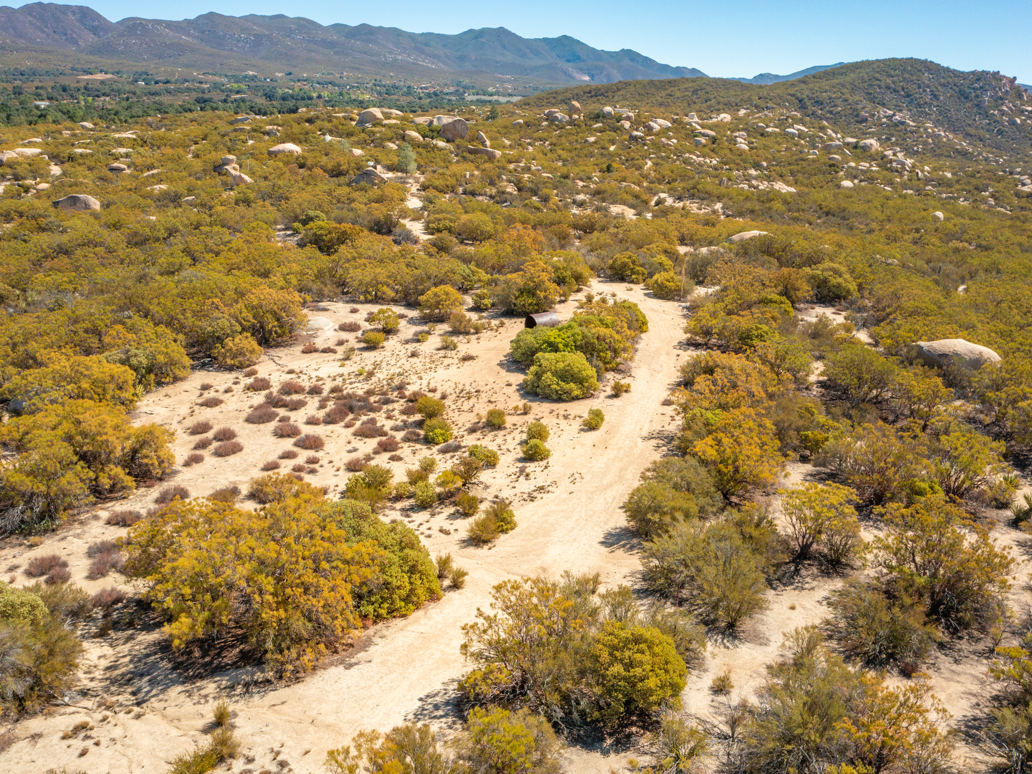 Julian Apple Picking
