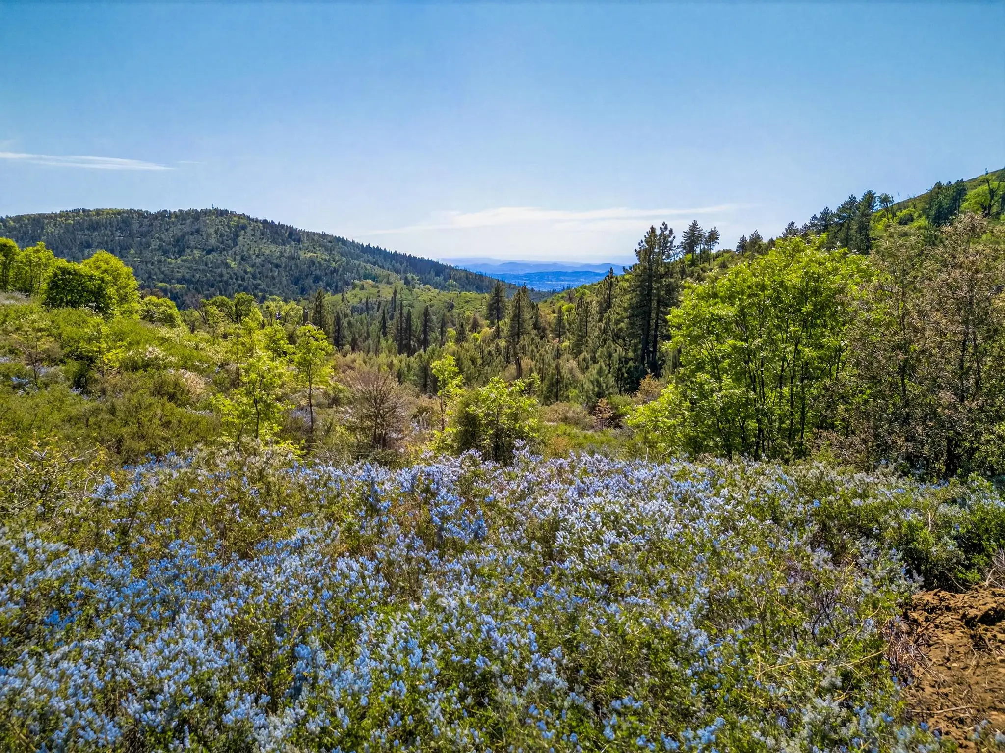 Palomar Panorama Ridge