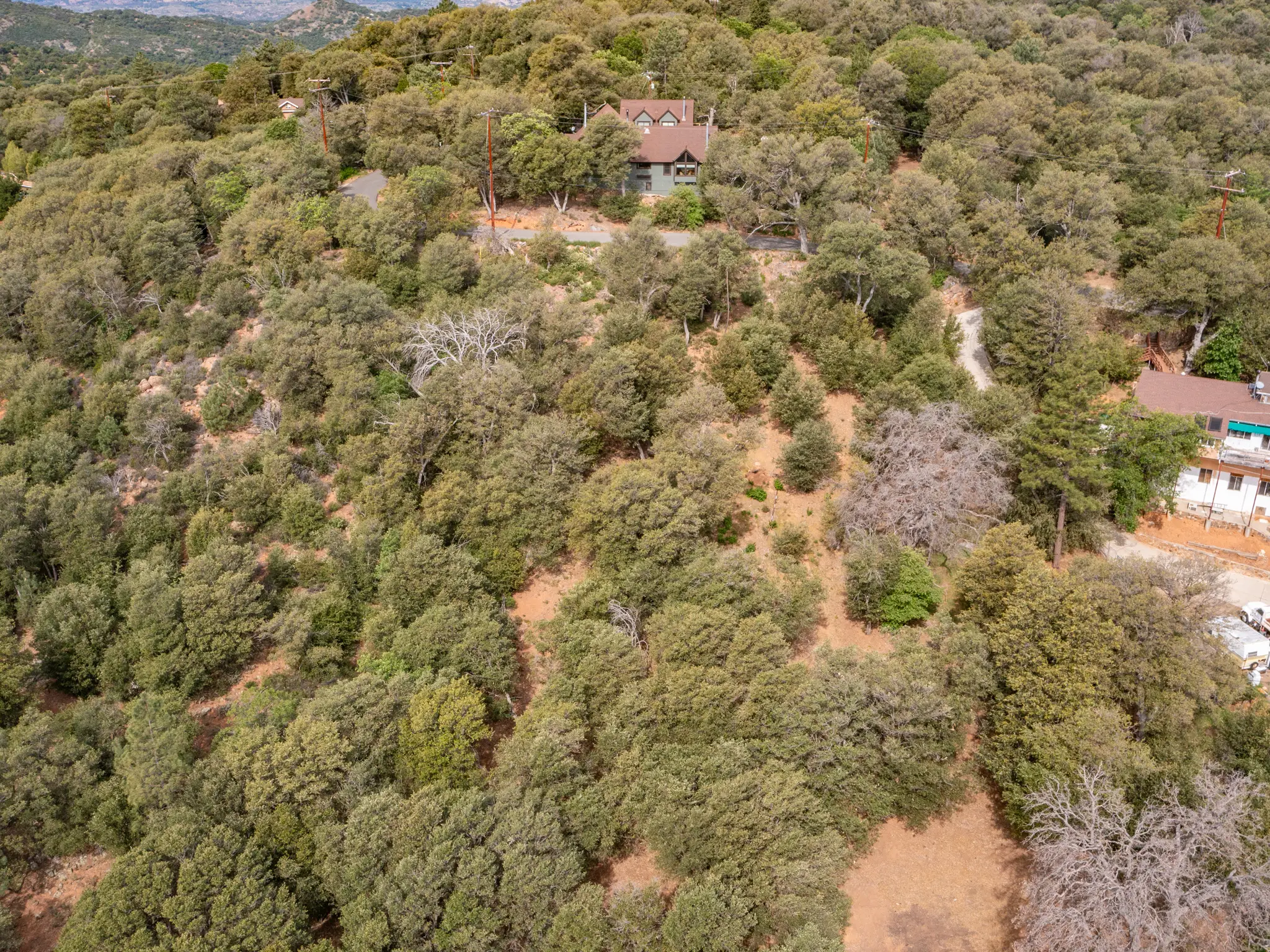 Oak Woodland Home Site